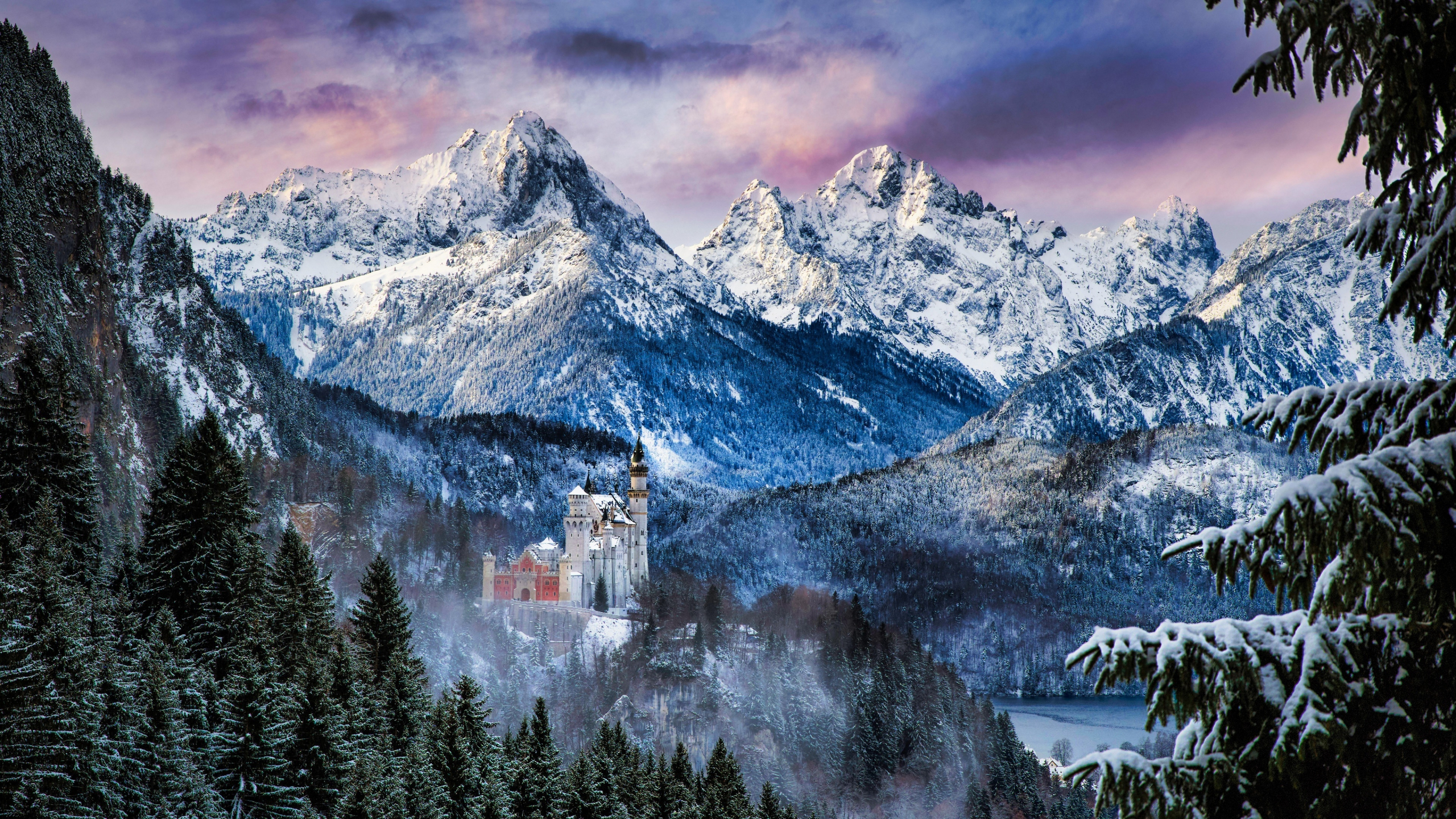 2560x1440 Download neuschwanstein castle, mountains, winter, nature wallpaper, dual wide 16:9 hd image, background, 27773
