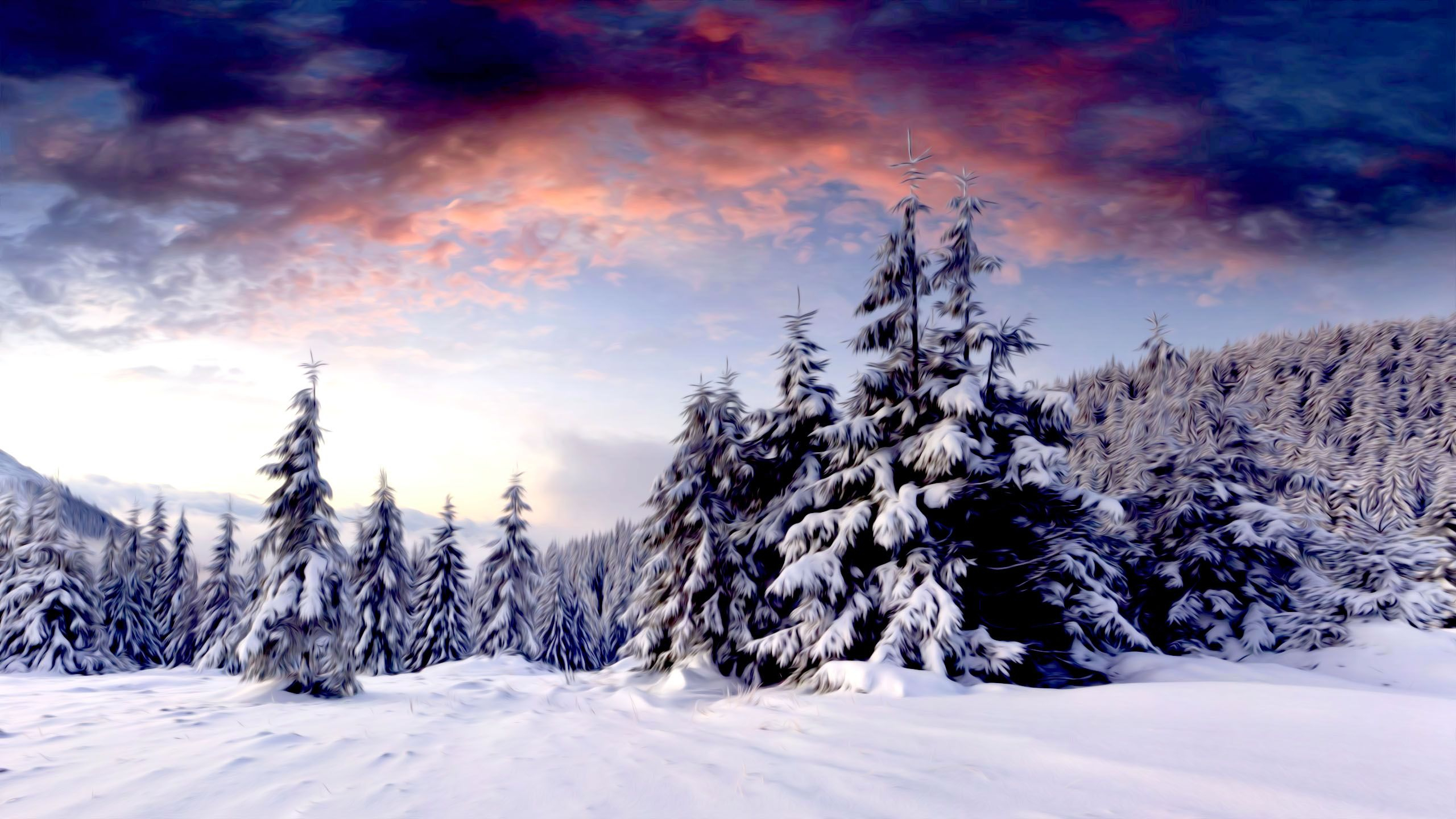 2560x1440 Winter Scenery Background Original Quality, 66% OFF