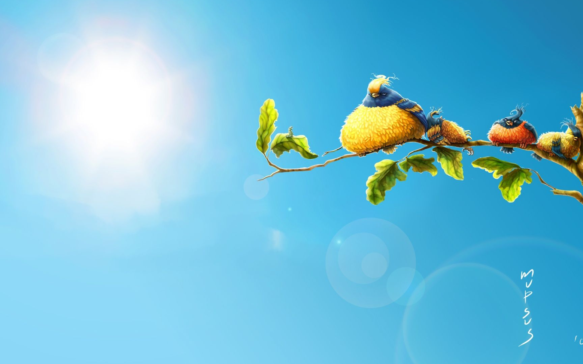 1920x1200 Funny Bird Wallpapers Top Free Funny Bird Backgrounds