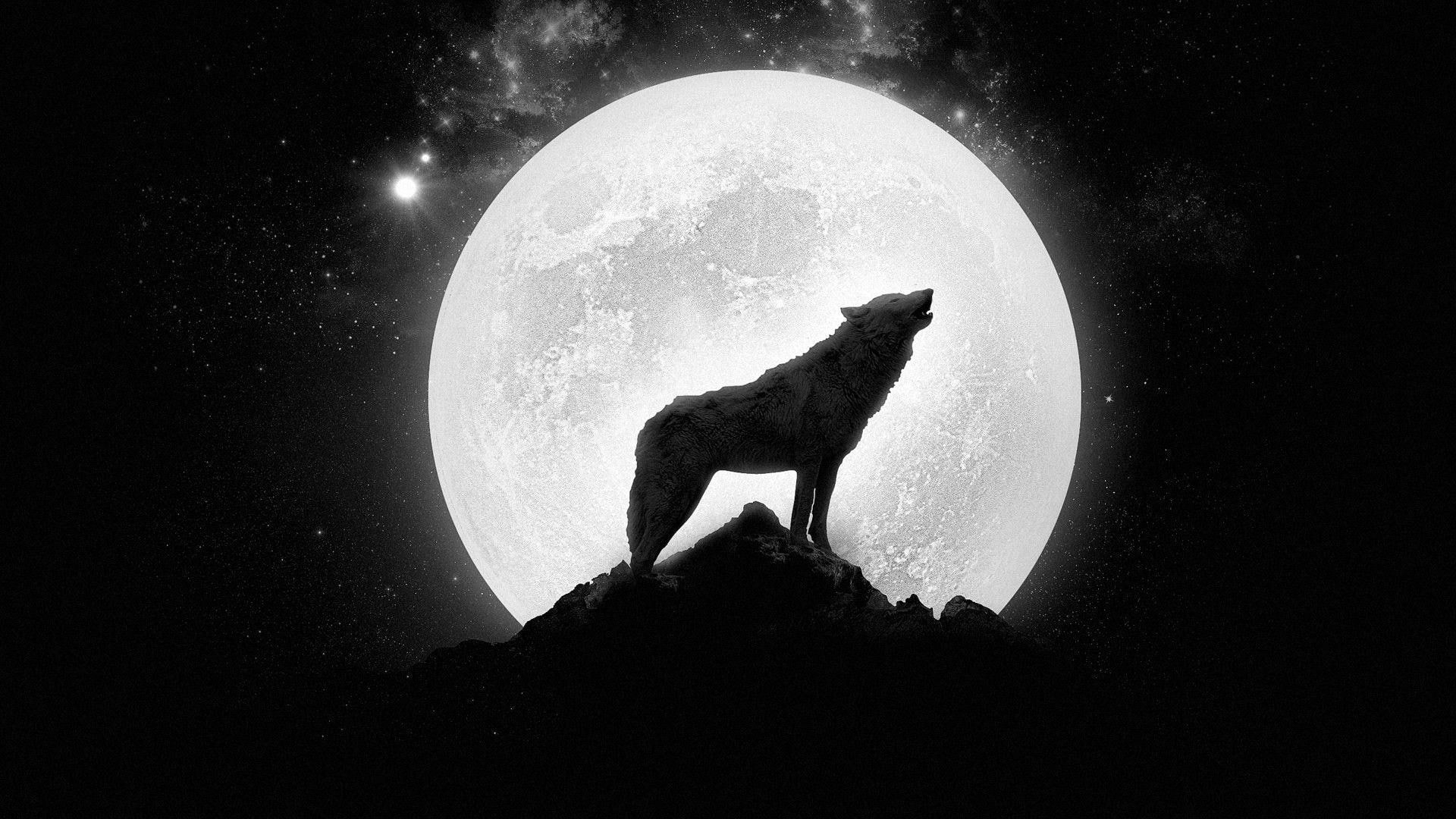 1920x1080 Wolf howling at the full moon, silhouette of wolf digital art # #cliff #star #moon #wolf #1080P #wall&acirc;&#128;&brvbar; | Wolf howling, Wolf howling at moon, Wolf wallpaper