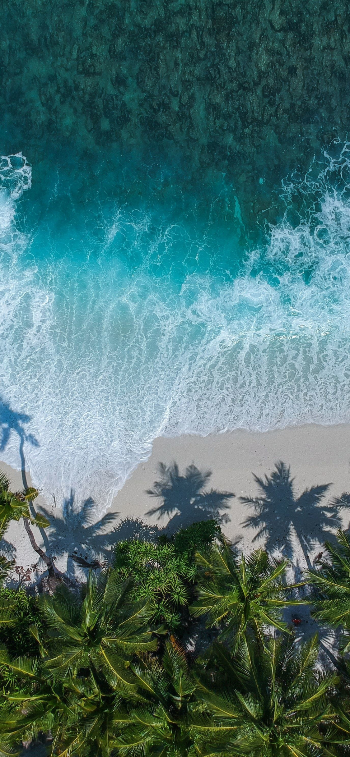 1125x2436 Download beautiful beach, aerial view, palm trees, sea wallpaper, iphone x, hd image, background, 17336