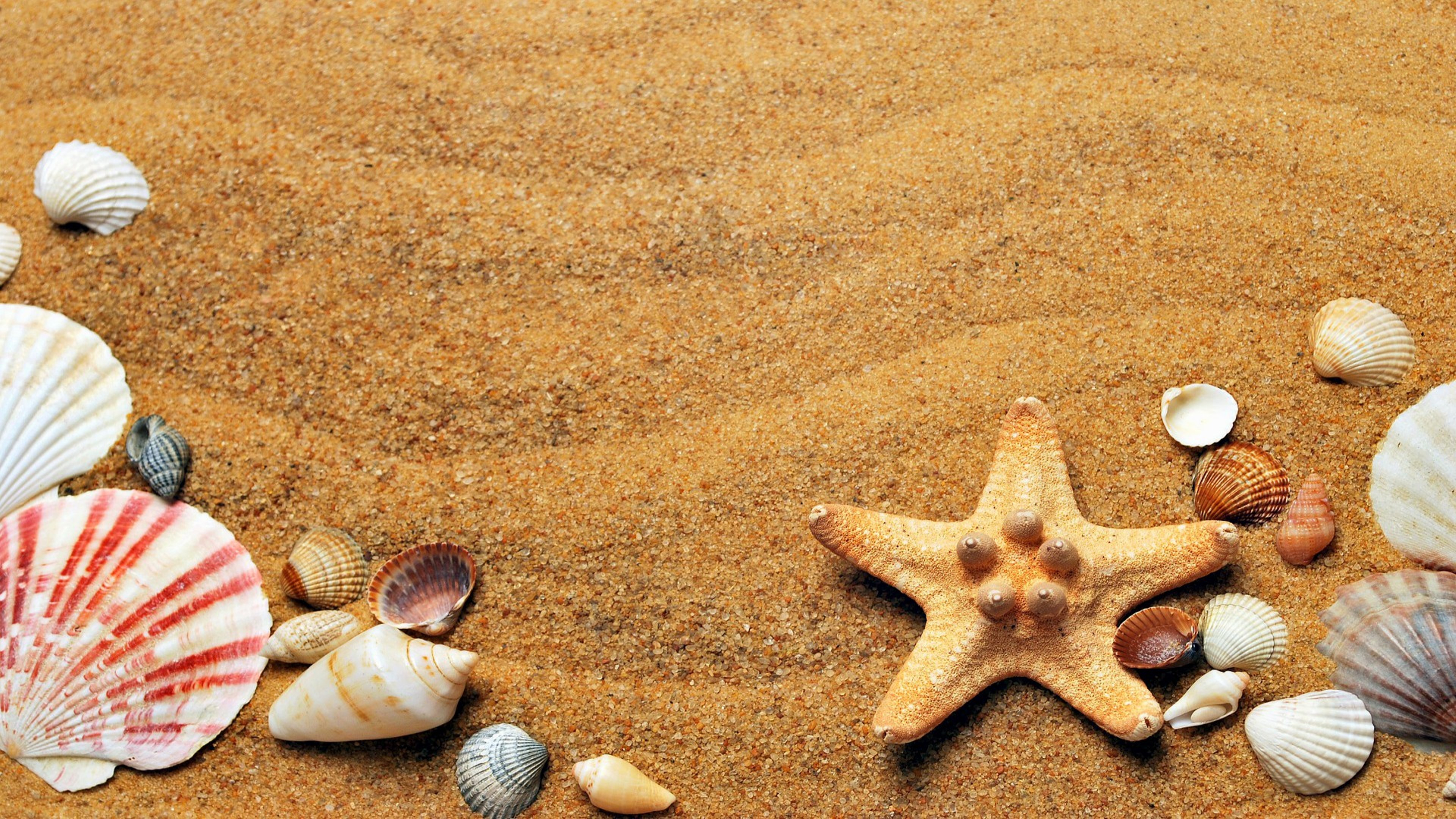 3840x2160 Beach Starfish Wallpaper- HD/4K KDE Store