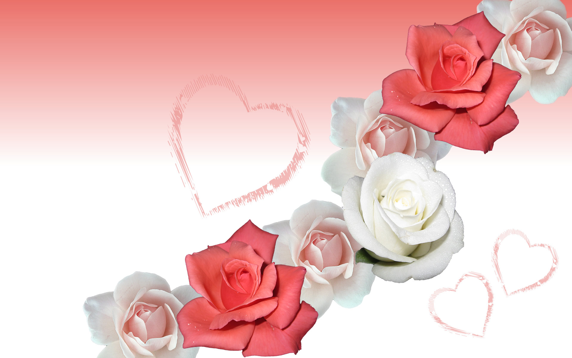 1920x1200 Romantic rose wallpaper