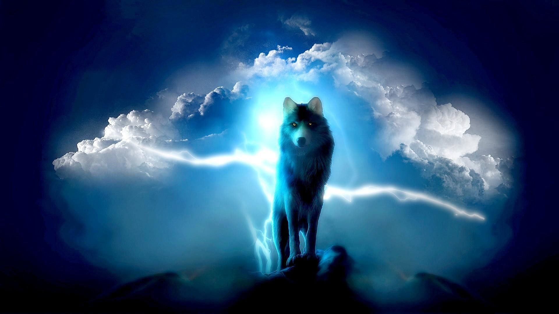 1920x1080 Cool Wolf Wallpapers