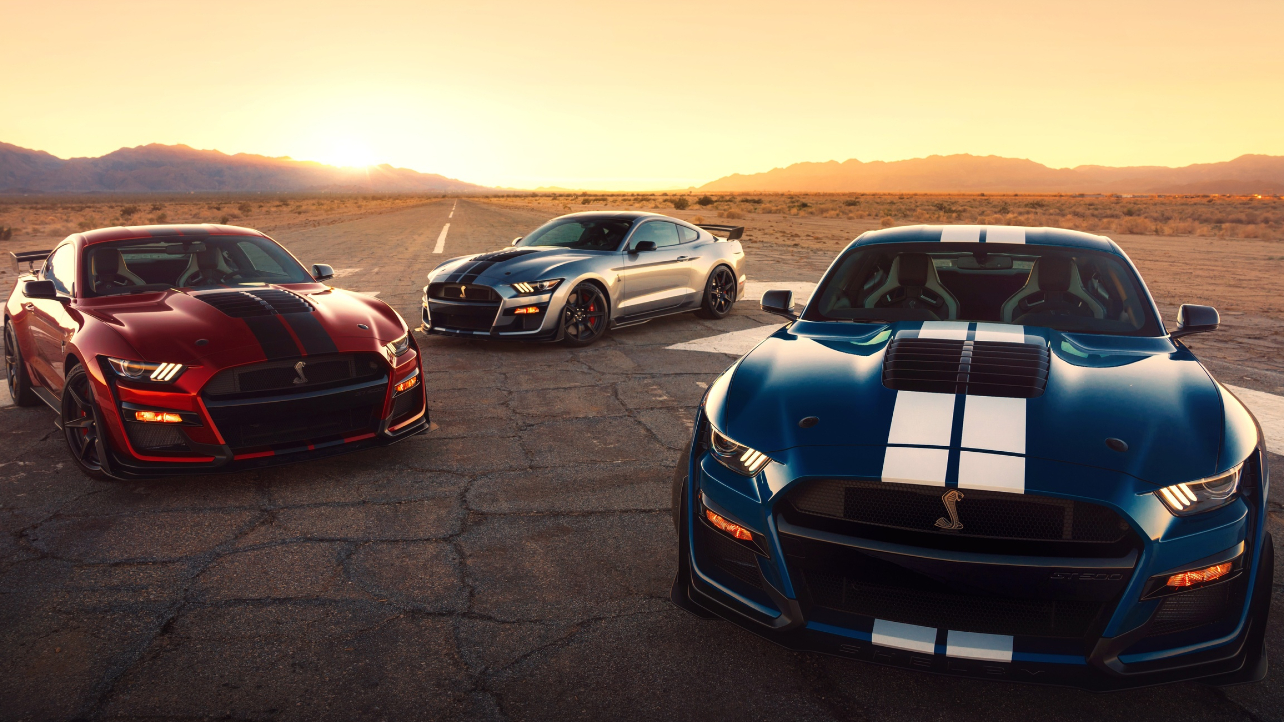 2560x1440 Ford Mustang Shelby GT500 2020 1440P Resolution HD 4k Wallpapers, Images, Backgrounds, Photos and Pictures