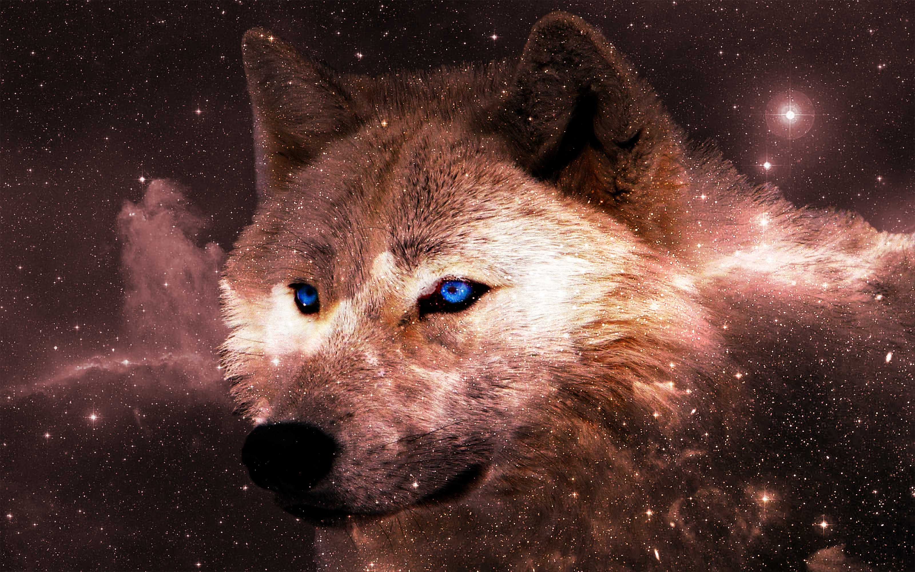 3200x2000 Wolf wallpapers Images Search Images on Everypixel