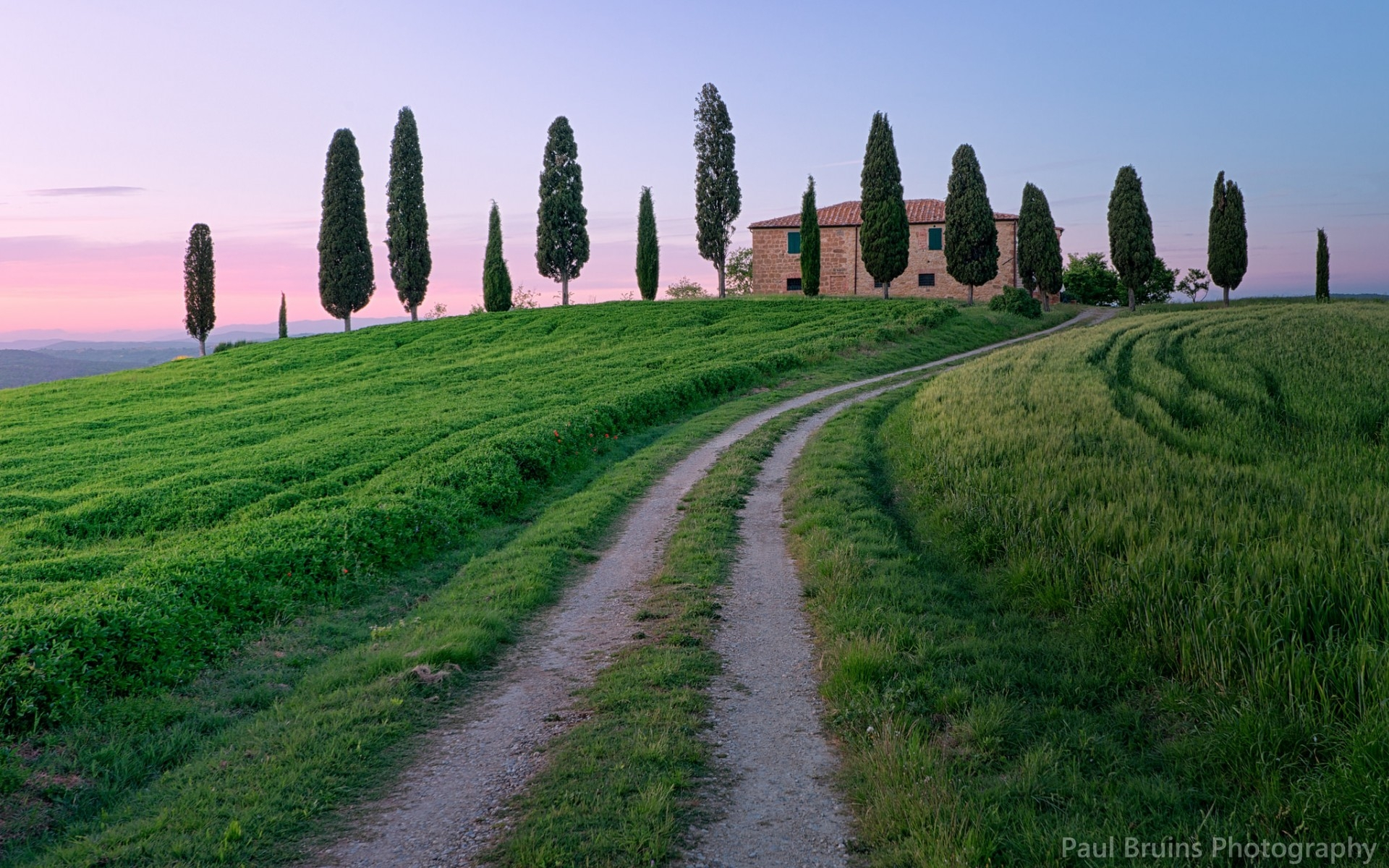 1920x1200 country road in tuscany Sample Pictures Wallpaper (41407807) Fanpop