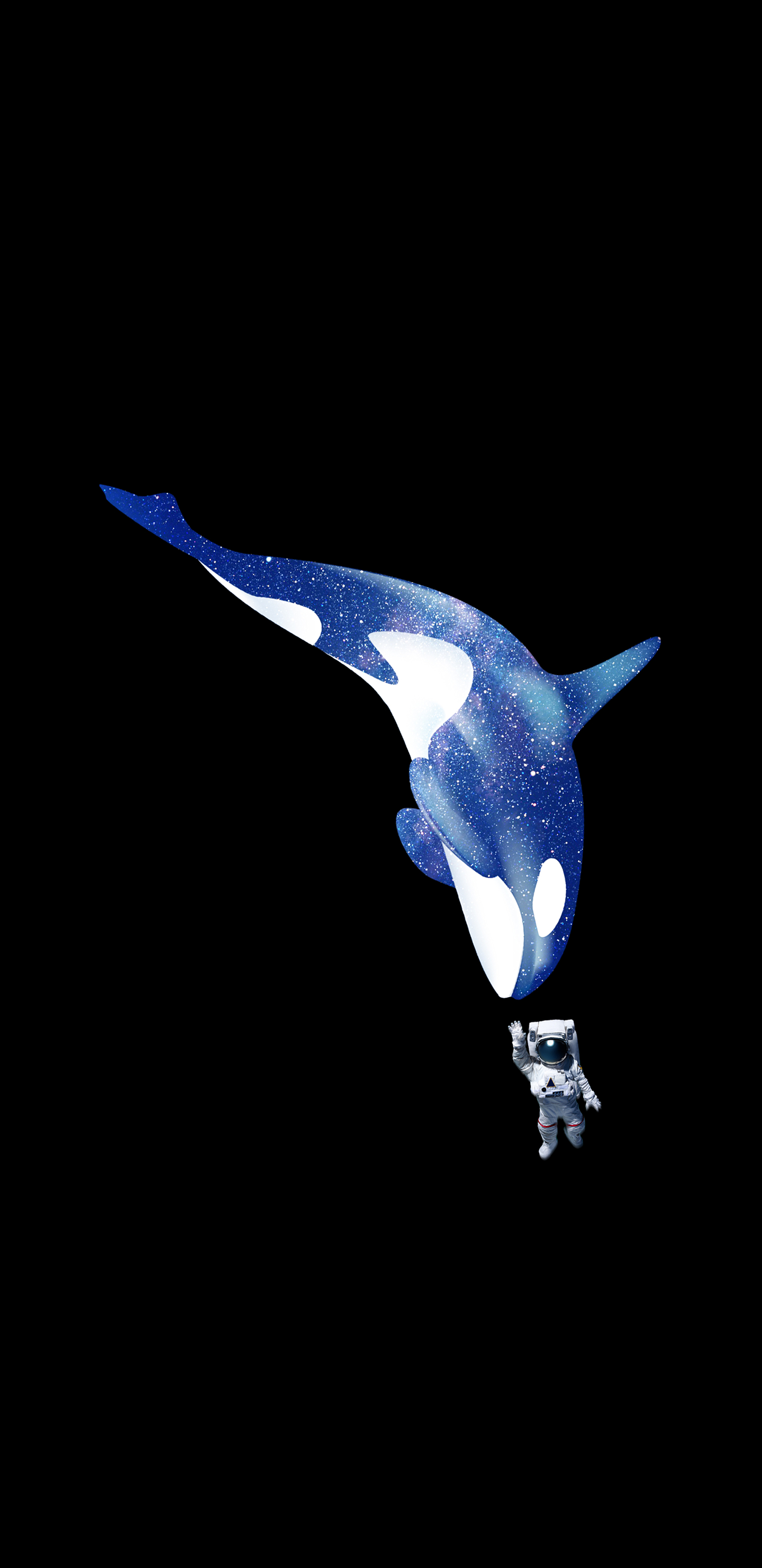 1440x2960 Orca and Astronaut | Iphone wallpaper whale, Orca art, Orca tatt