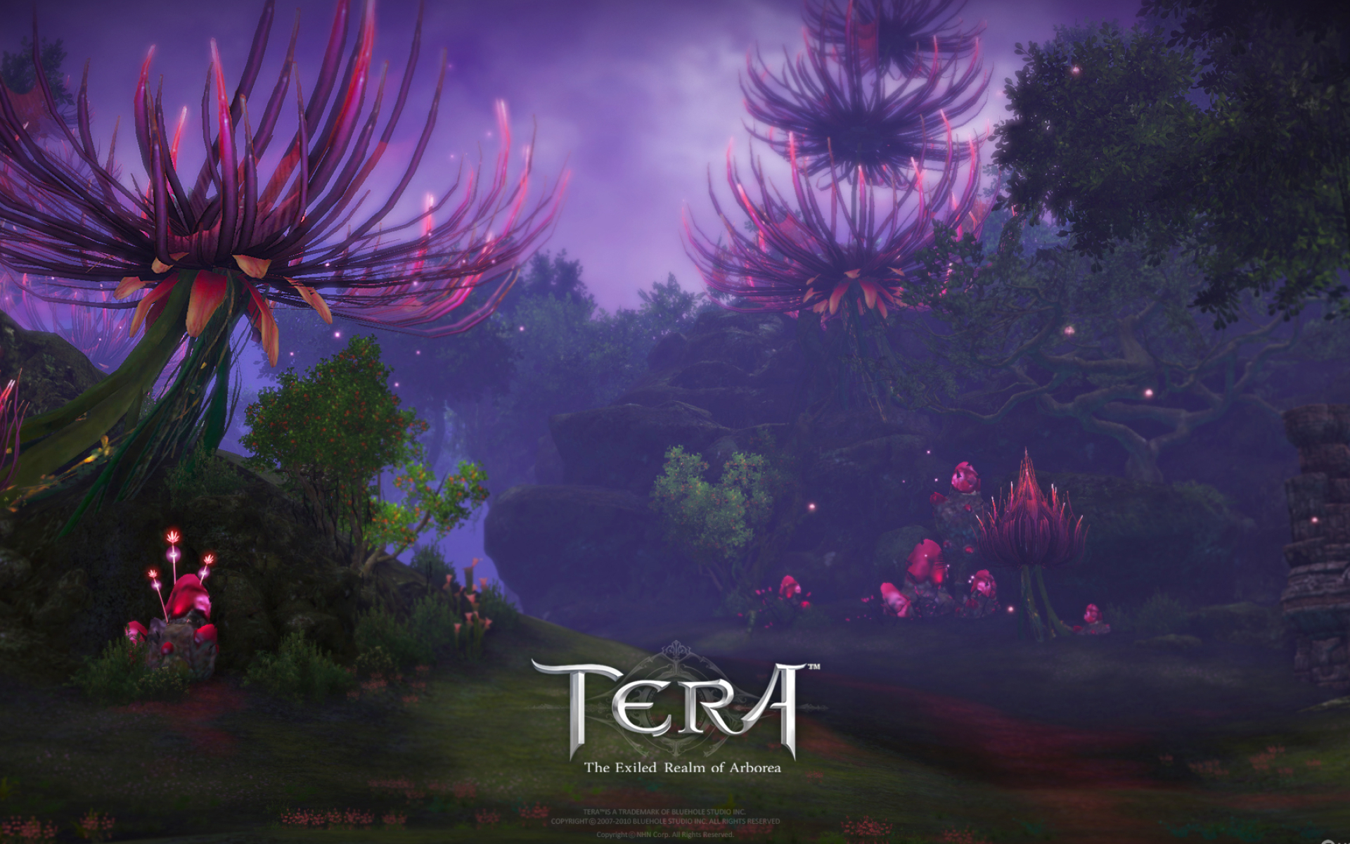 1920x1200 Wallpapers from TERA
