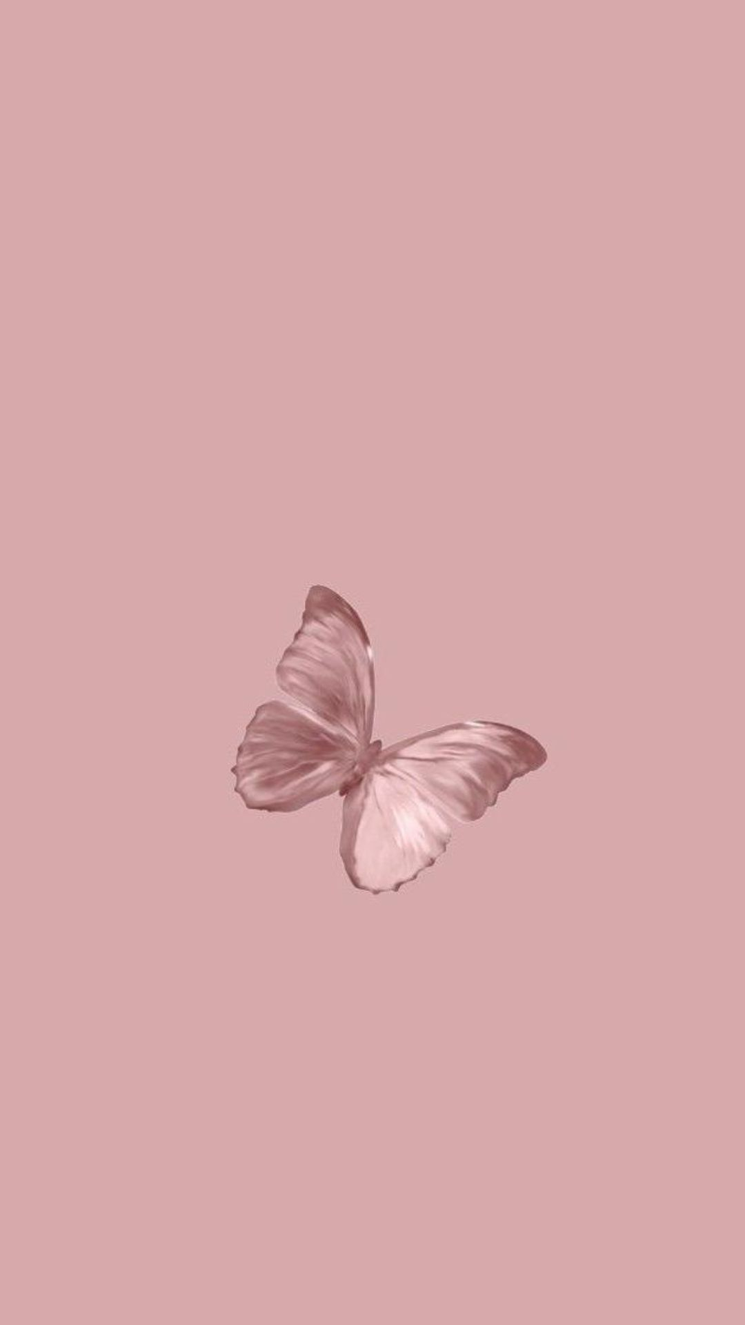 1080x1920 Butterflies Wallpaper- Top Best Quality Butterflies Backgrounds (HD,4k