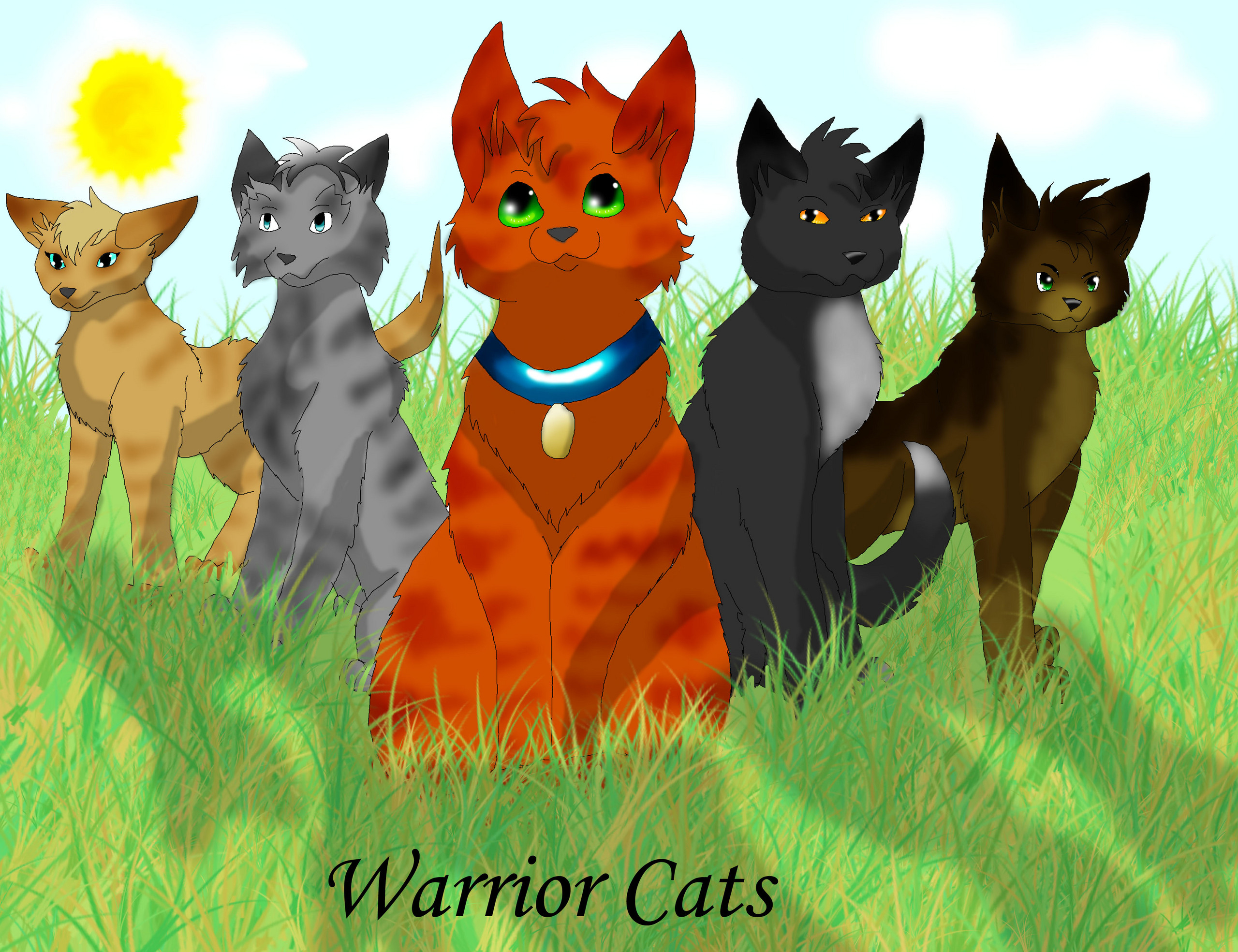 2560x1969 warrior cats into the forest Warrior Cats Forever Photo (30405926) Fanpop