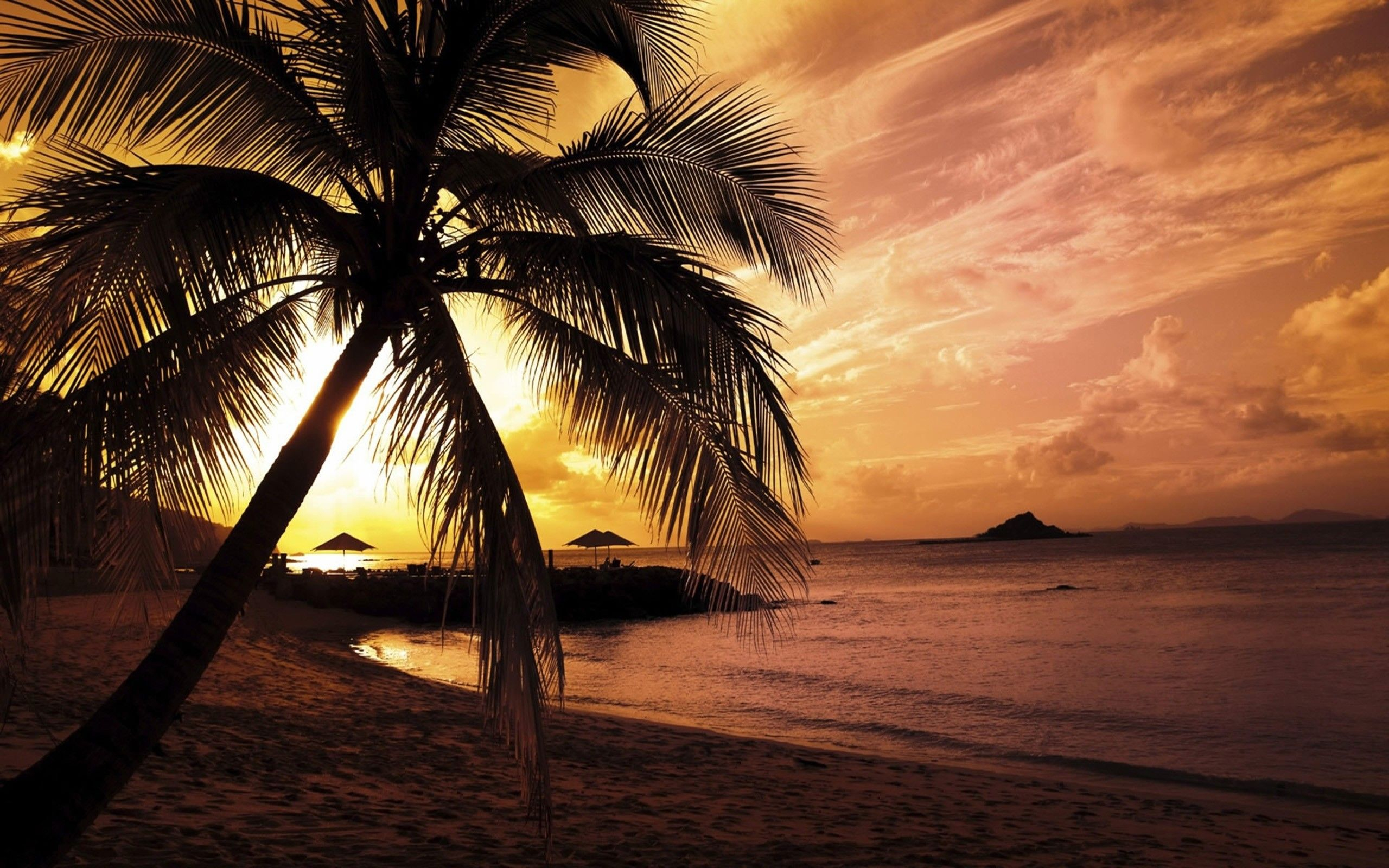 2560x1600 Summer Beach Sunset Wallpapers Top Free Summer Beach Sunset Backgrounds