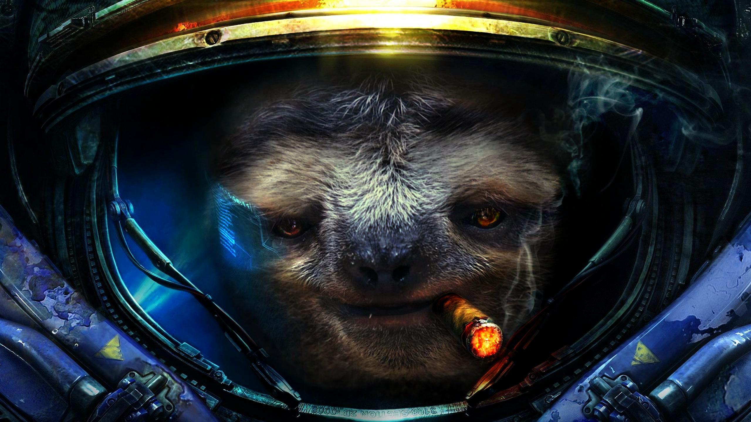 2560x1440 Sloth Astronaut [3840x2160] : r/wallpapers
