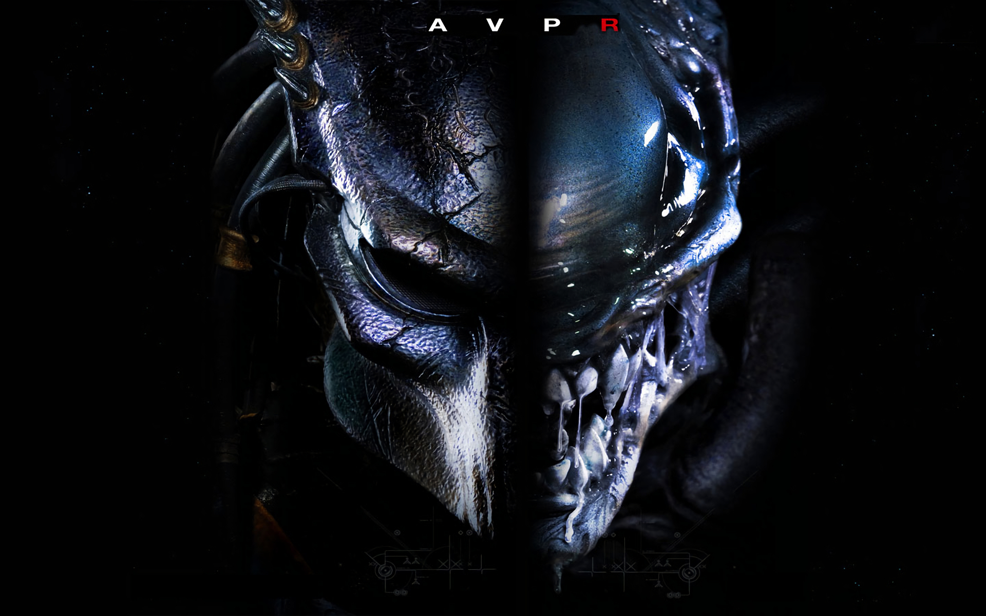 1920x1200 80+ Predator HD Wallpapers and Backgrounds