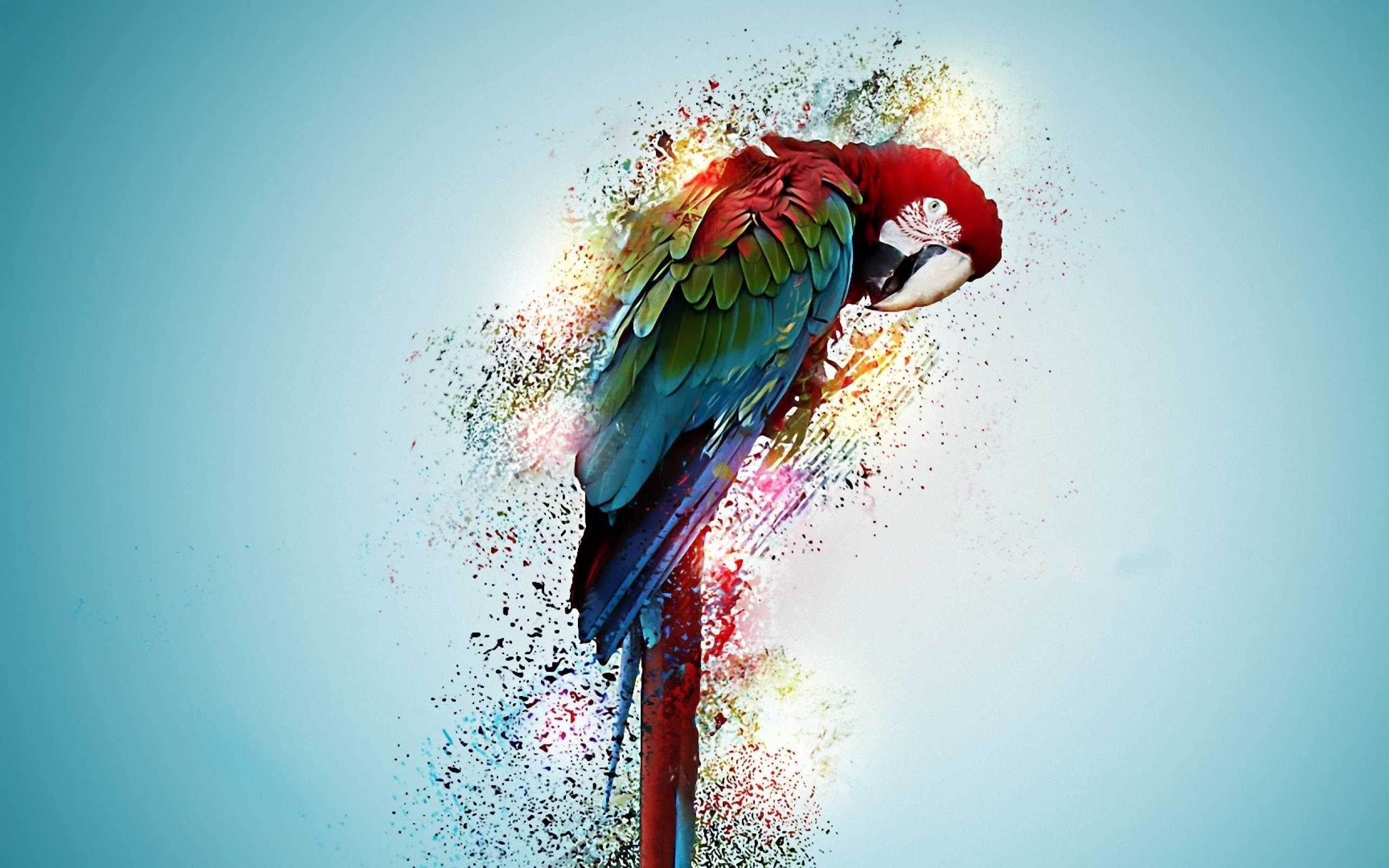 2560x1600 Macbook Parrot Wallpaper Wallpaper Su