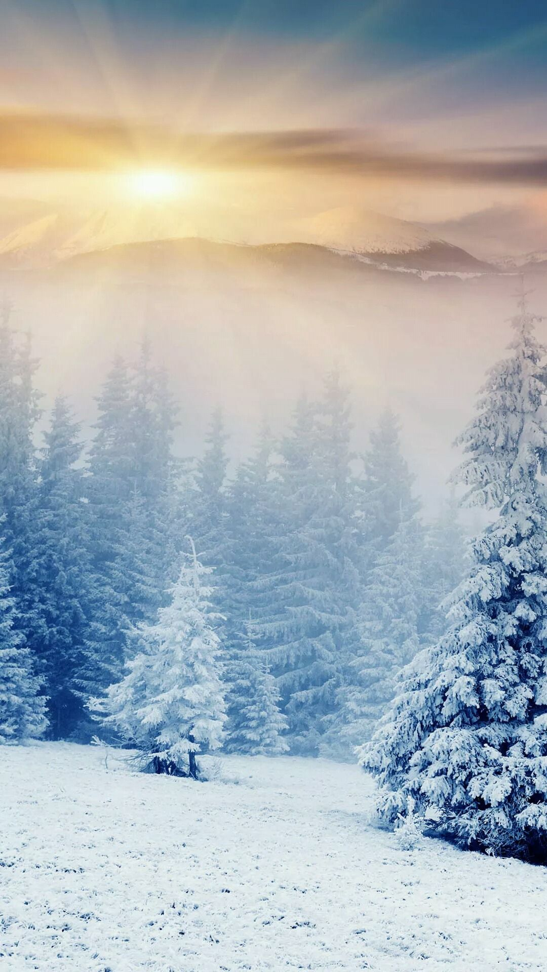 1080x1920 Winter Forest
