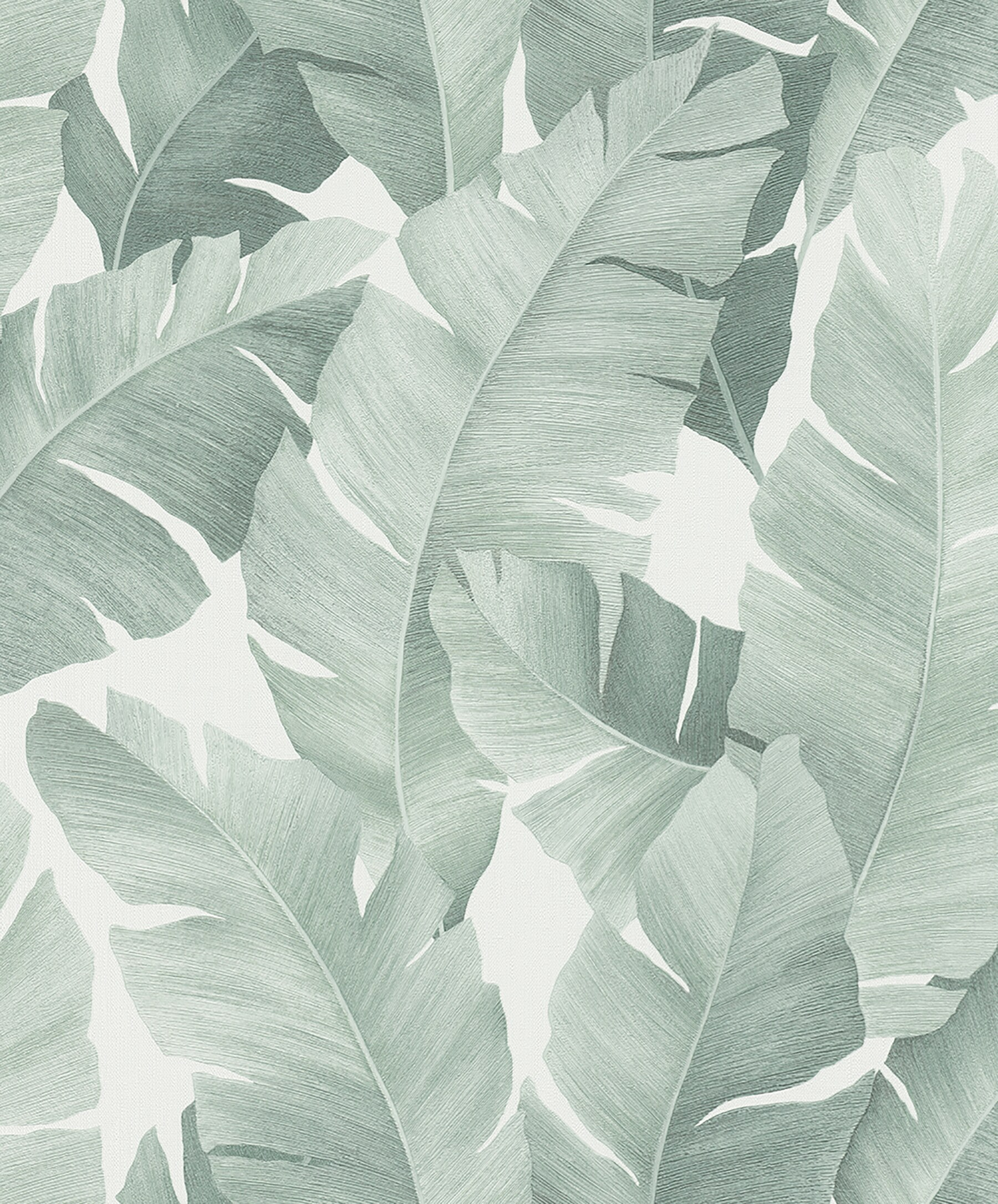 1800x2173 Marburg Attalea Green Palm Leaf Wallpaper at