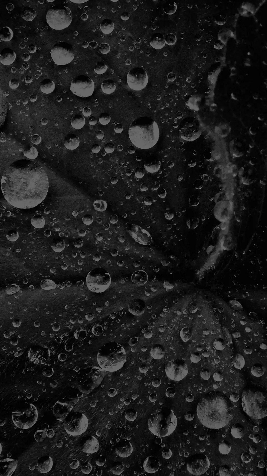1080x1920 Black Raindrop Wallpaper | Black wallpaper, Wallpaper iphone love, Water drop on leaf