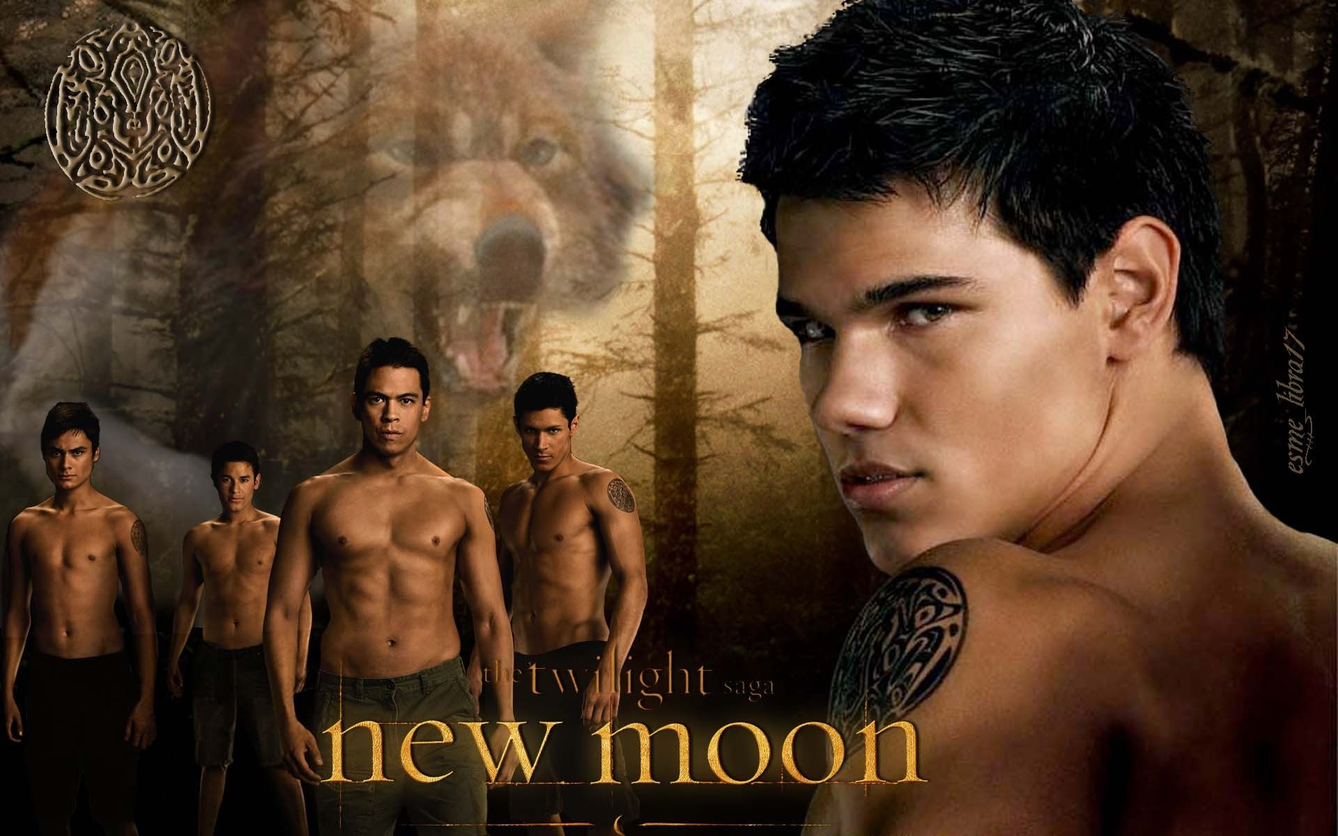 1920x1200 The Twilight Saga: New Moon HD Wallpaper