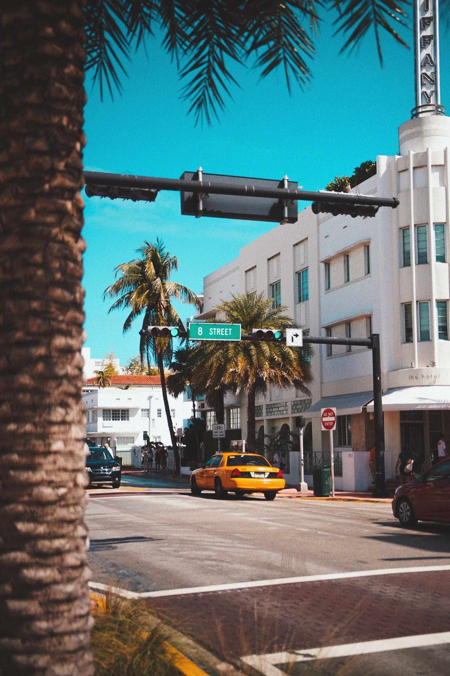 1536x2304 united states miami beach south beach palm tree #sreet #portrait #streetphotography #miami #florida #1080P #wa&acirc;&#128;&brvbar; in 2022 | Miami pictures, Florida wallpaper, Miami wallpaper