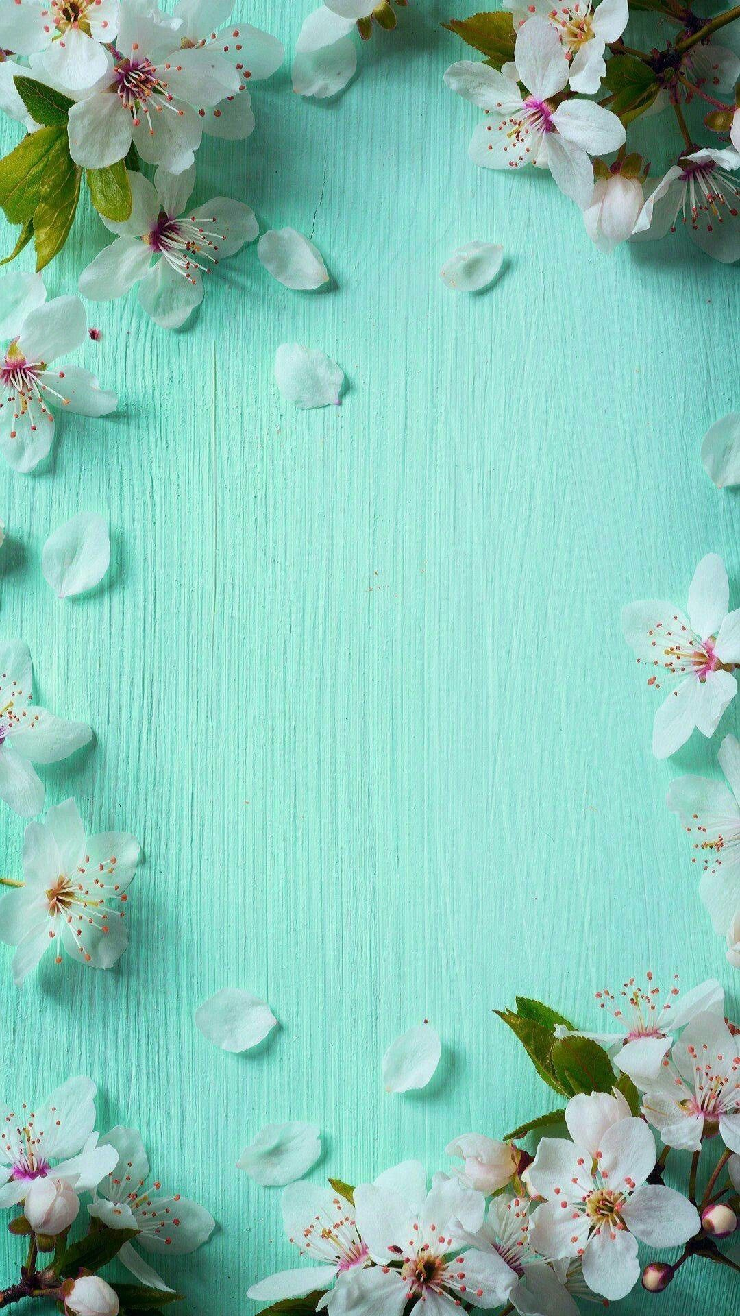 1080x1920 Blue Spring iPhone Background. | Spring wallpaper, Flower background wallpaper, Flower wallpaper