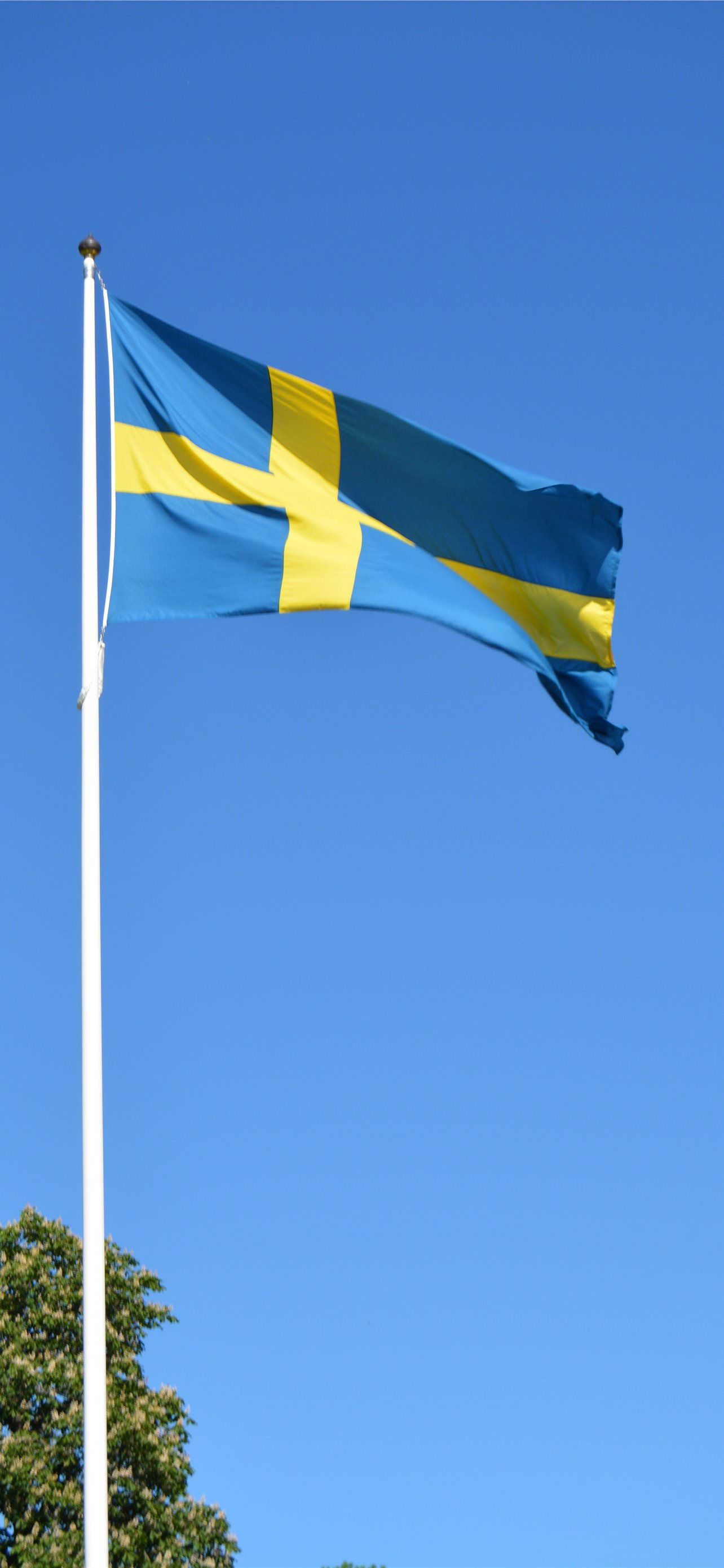1284x2778 sweden flag iPhone Wallpapers Free Download