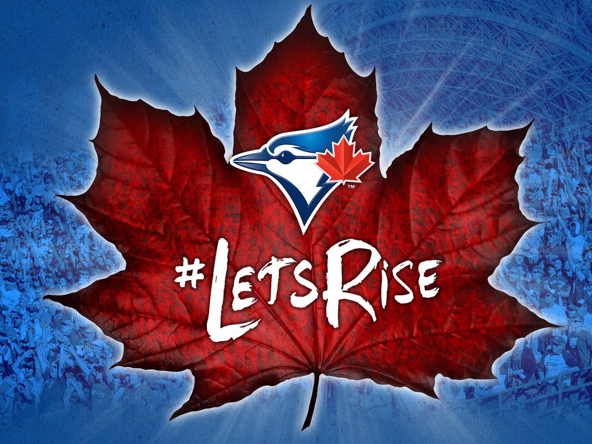 1920x1440 Download Toronto Blue Jays Maple Leaf Logo Wallpaper