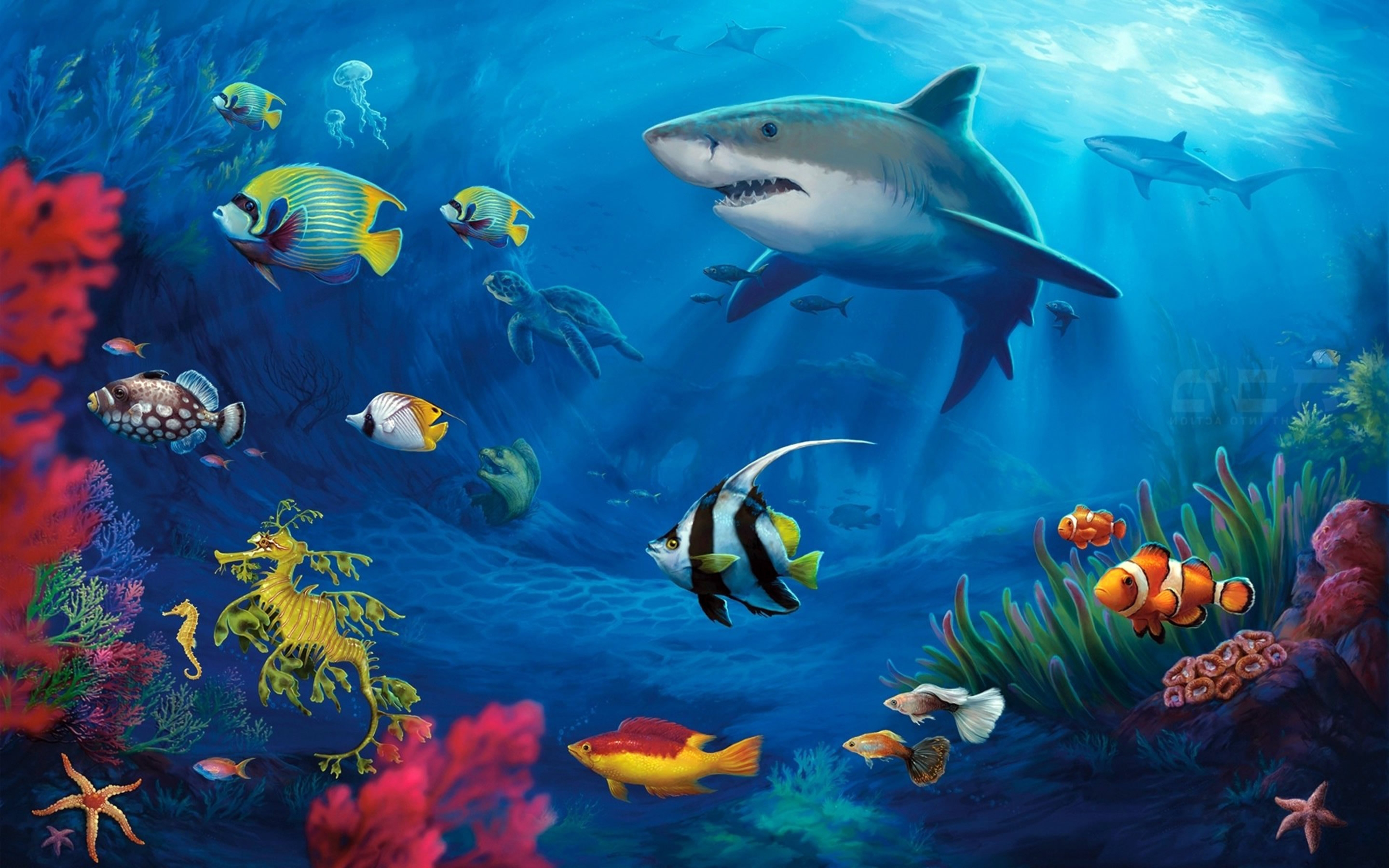 2880x1800 Underwater Life MacBook Air Wallpaper Download