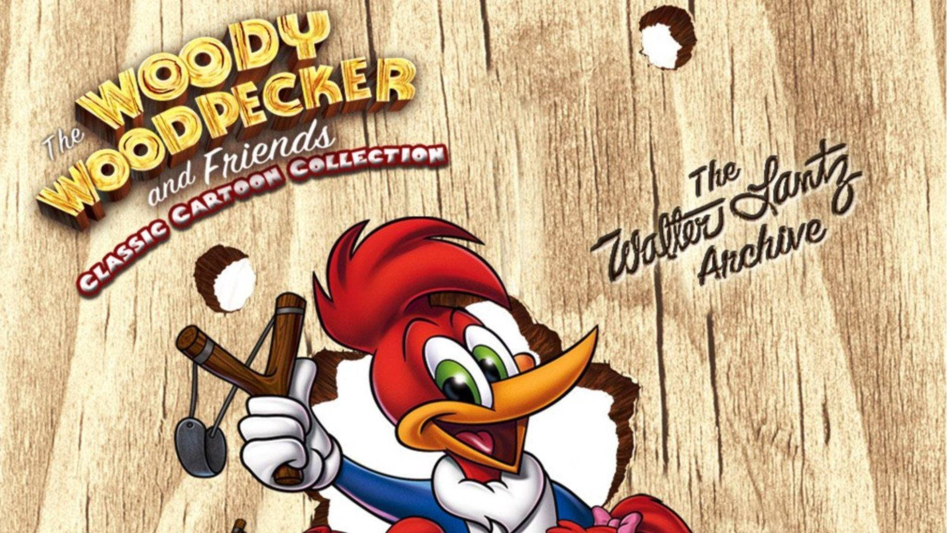 1920x1080 Download Woody Woodpecker Wallpaper