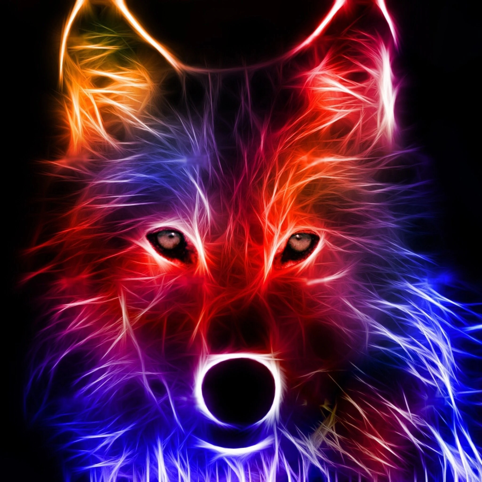 2048x2048 Cool Neon Wolves Wallpapers Top Free Cool Neon Wolves Backgrounds