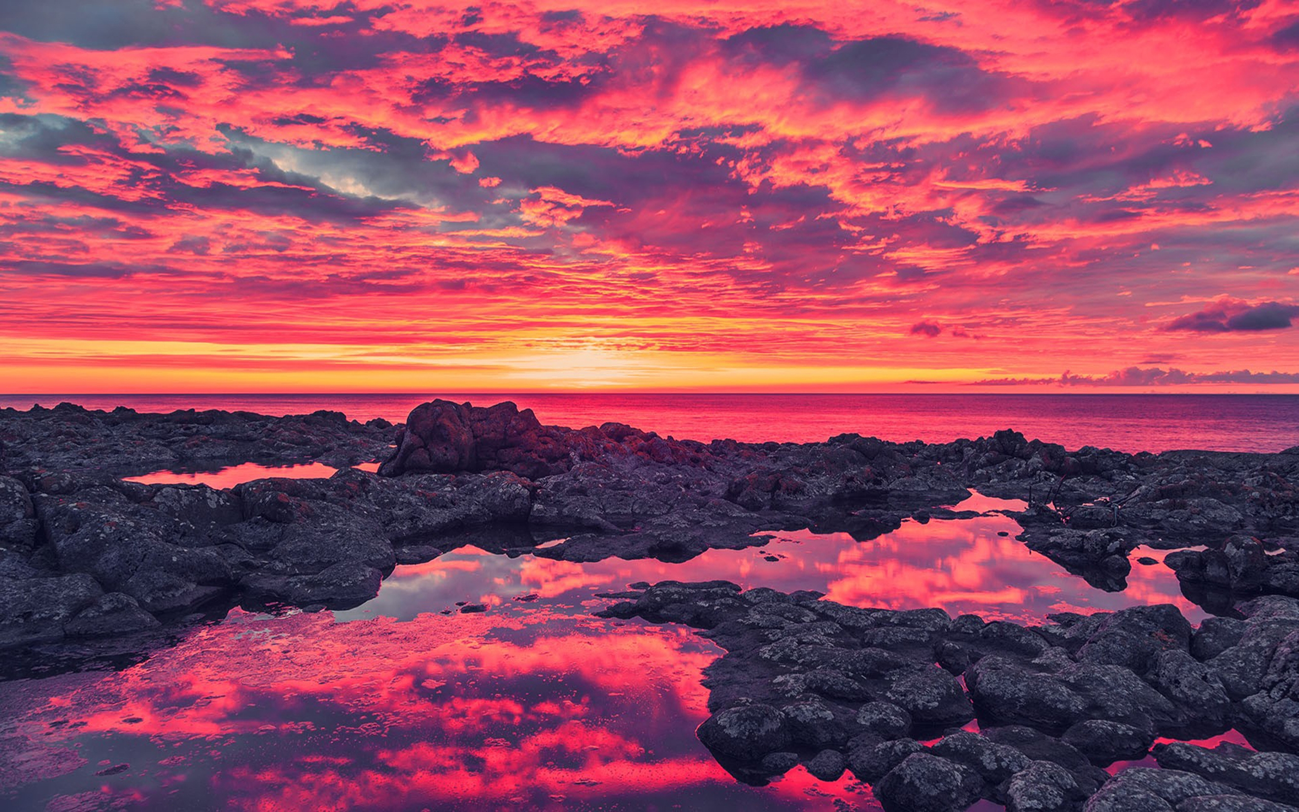 2560x1600 Pink Ocean Sunset