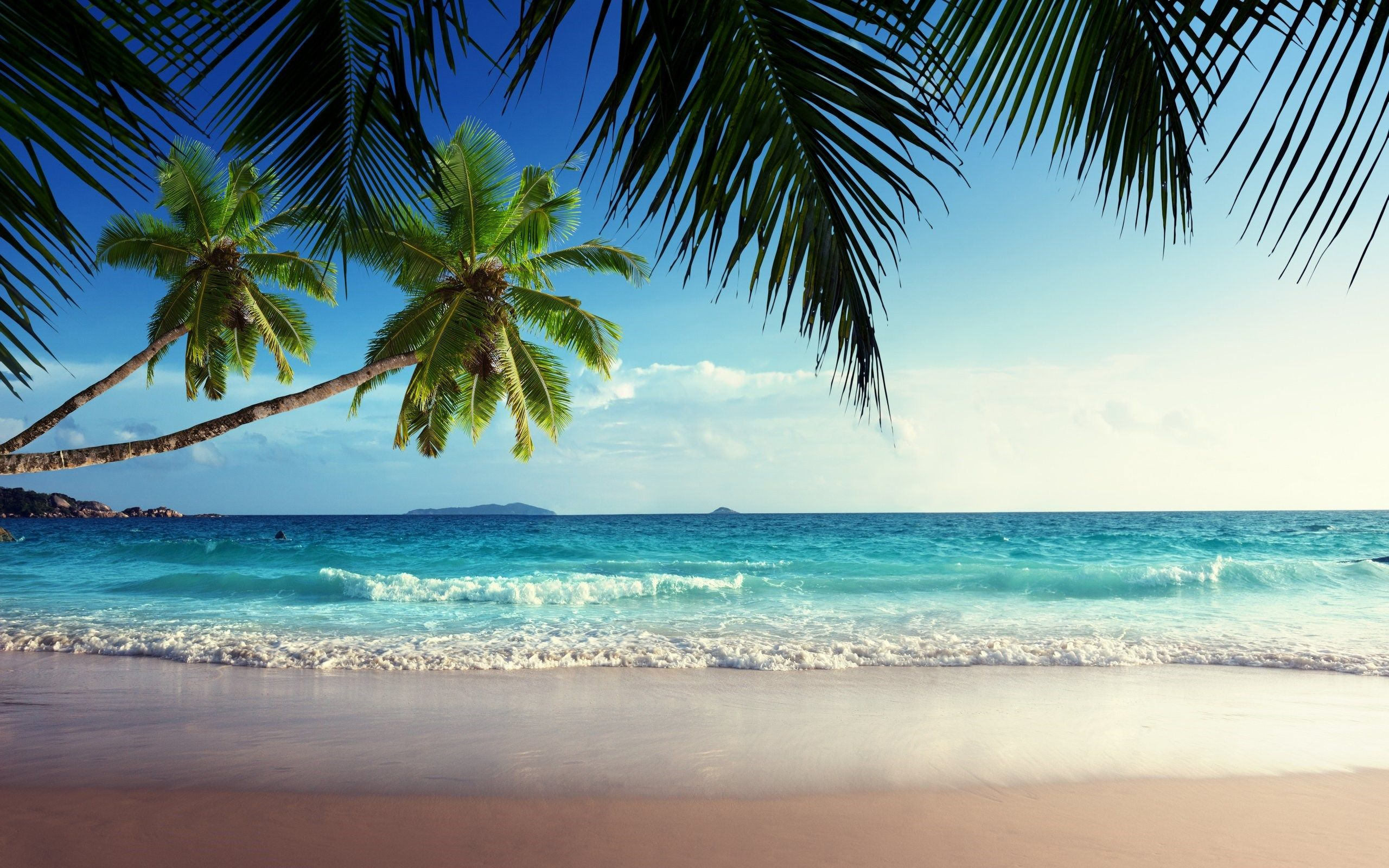 2560x1600 Ocean and Beach Wallpapers Top Free Ocean and Beach Backgrounds