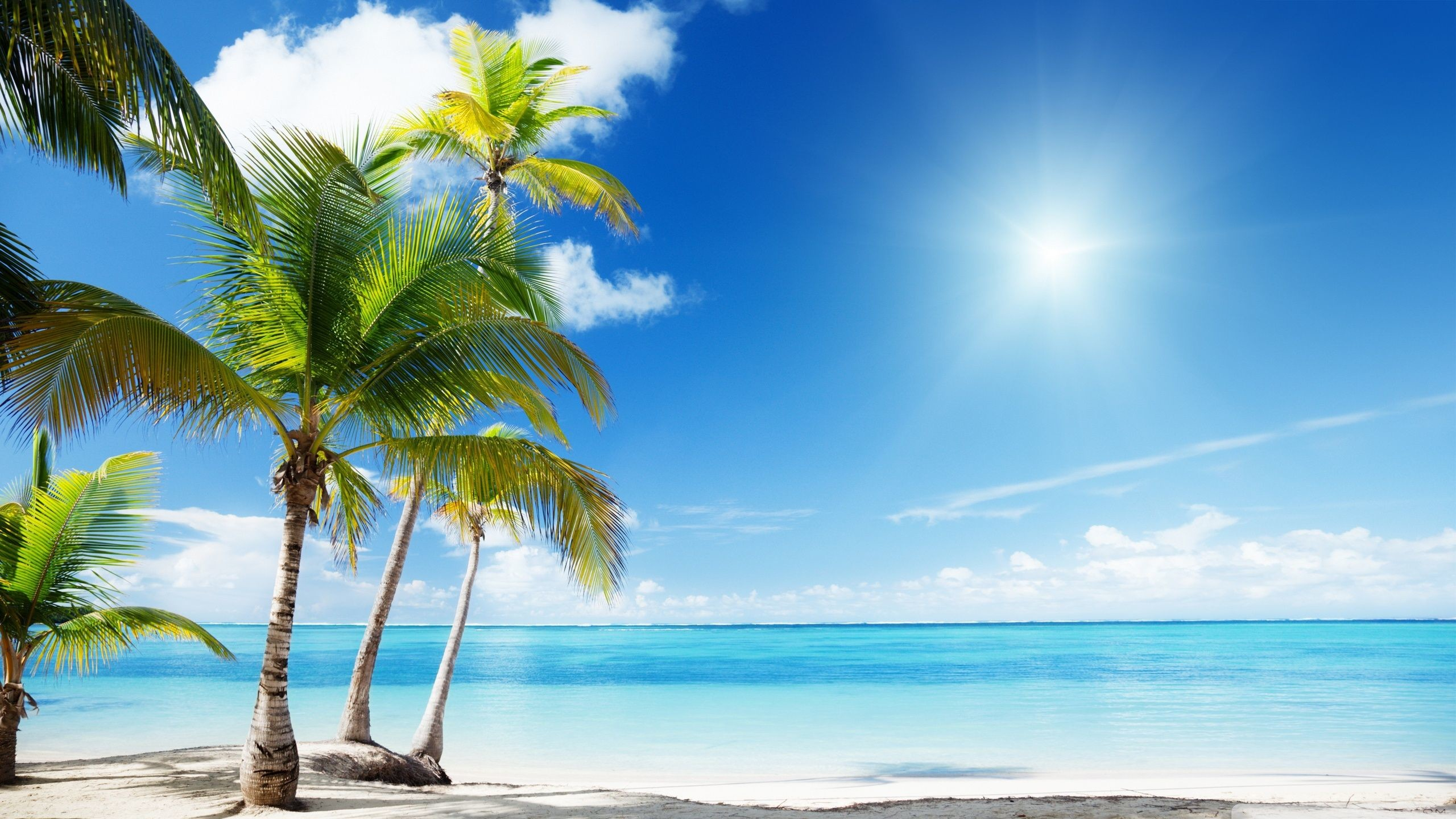 2560x1440 Paradise Beach Wallpaper (69+ pictures