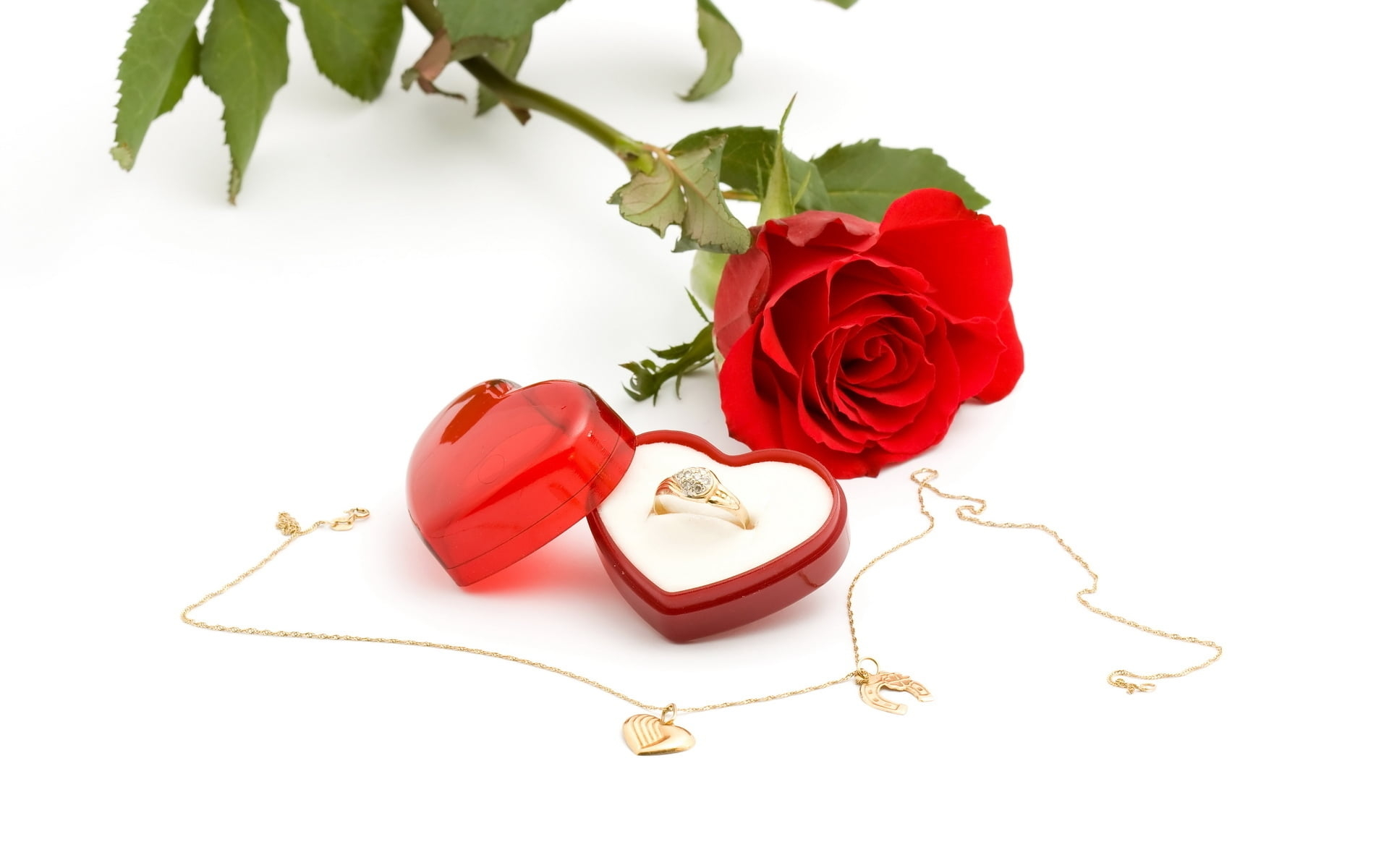 1920x1200 Heart-shaped red ring box with gold-colored ring beside red rose flower HD wallpaper