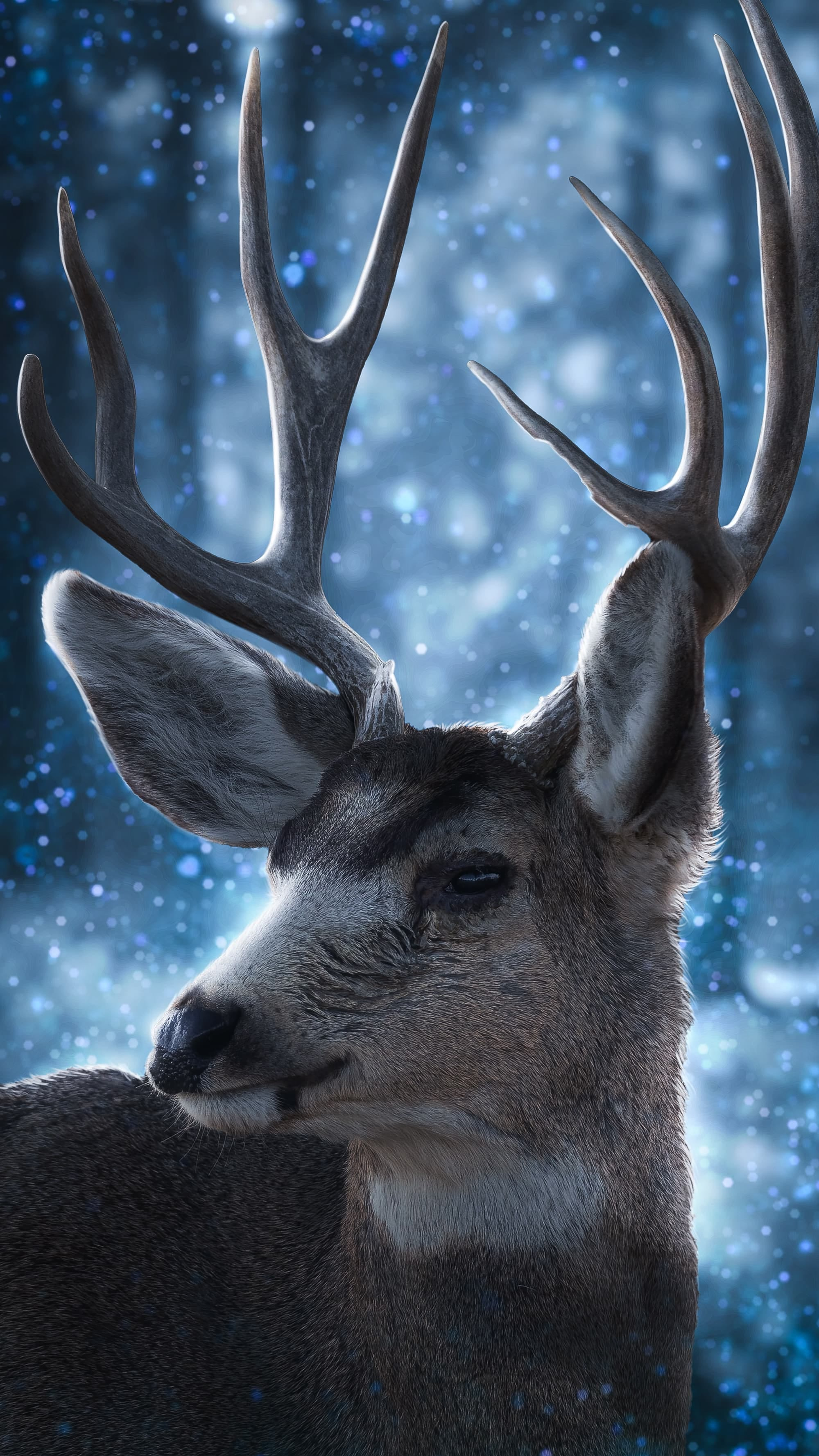 2000x3555 15 free stock photos related to reindeer Pixexid