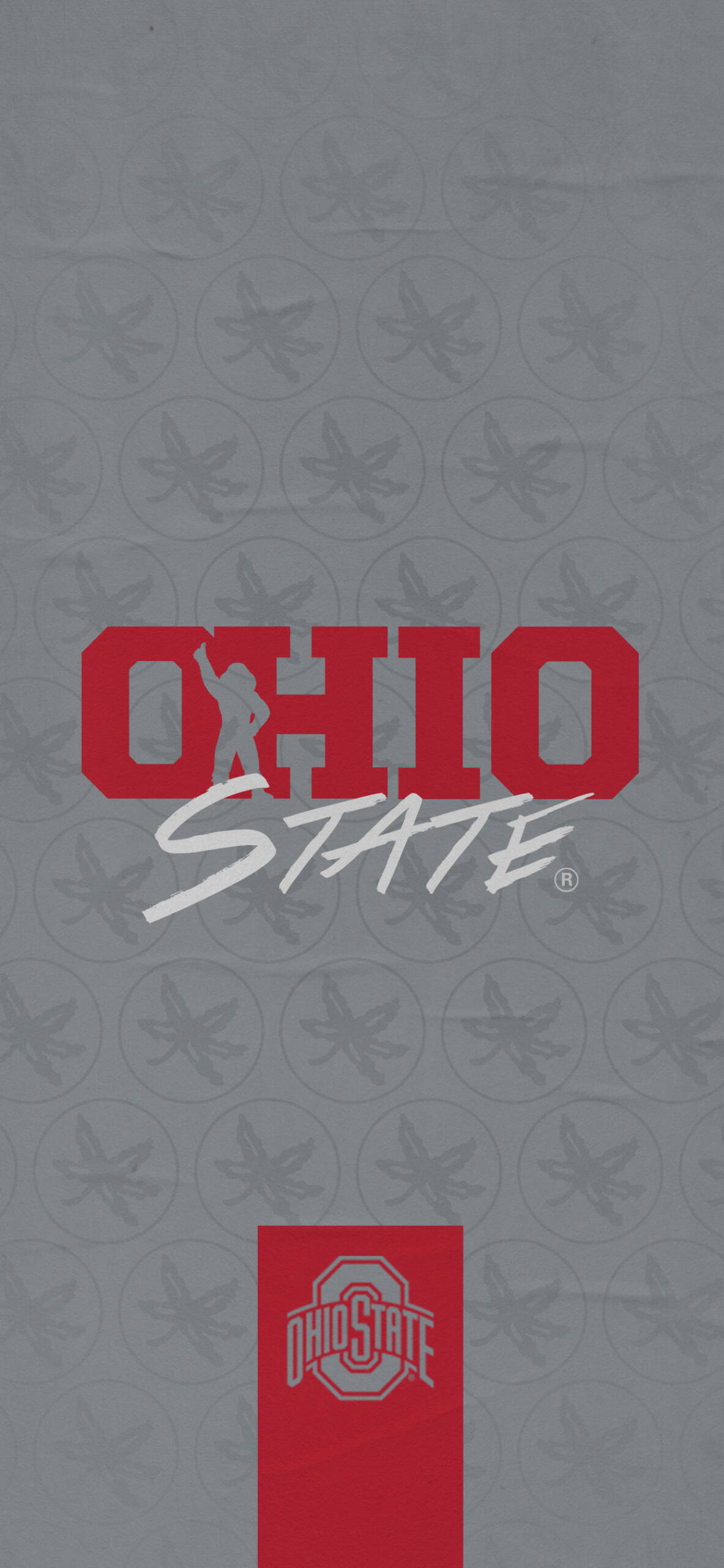 1183x2560 Ohio State Buckeyes Football Wallpaper