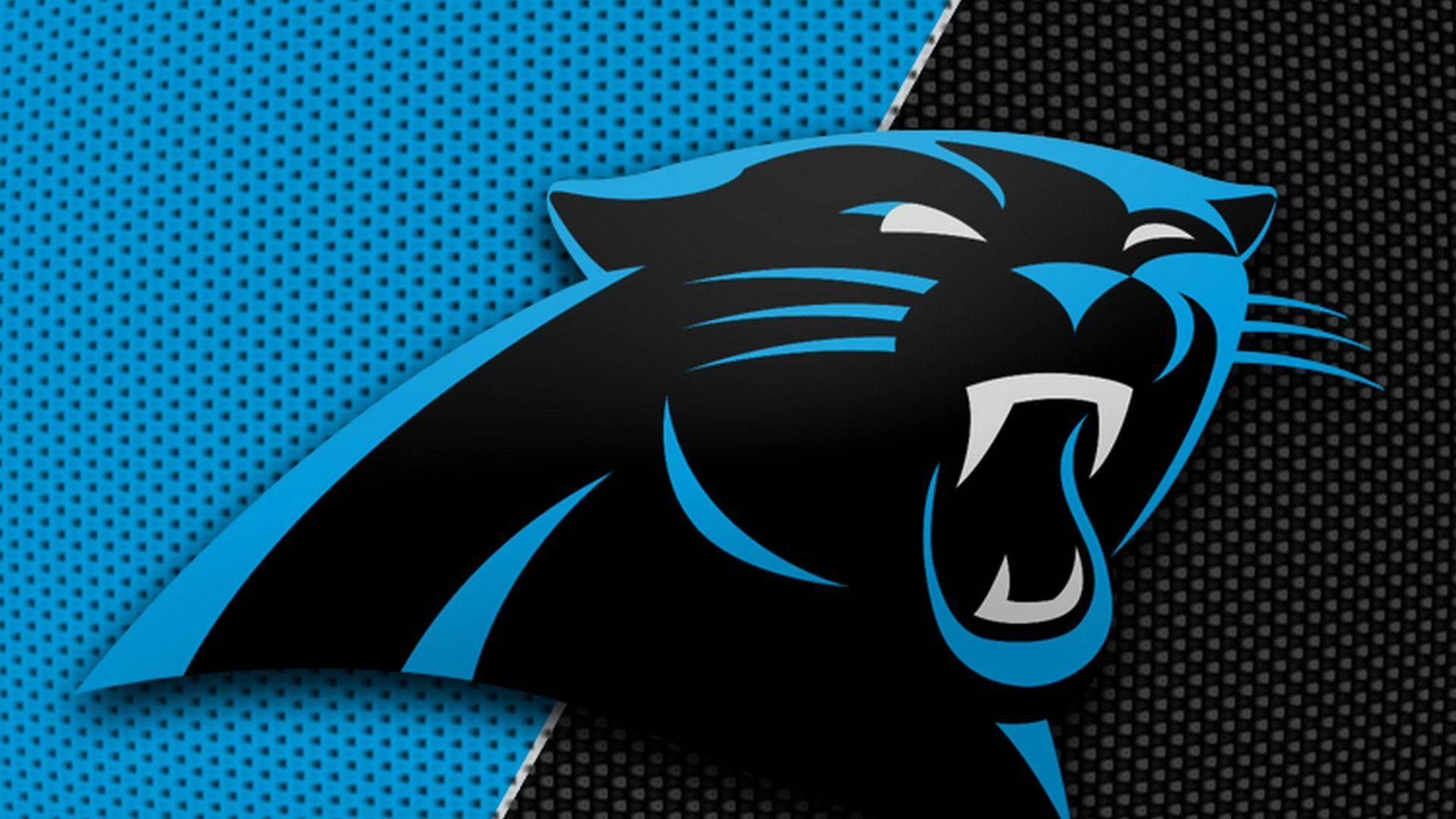 1920x1080 Download Classic Carolina Panthers Logo Wallpaper