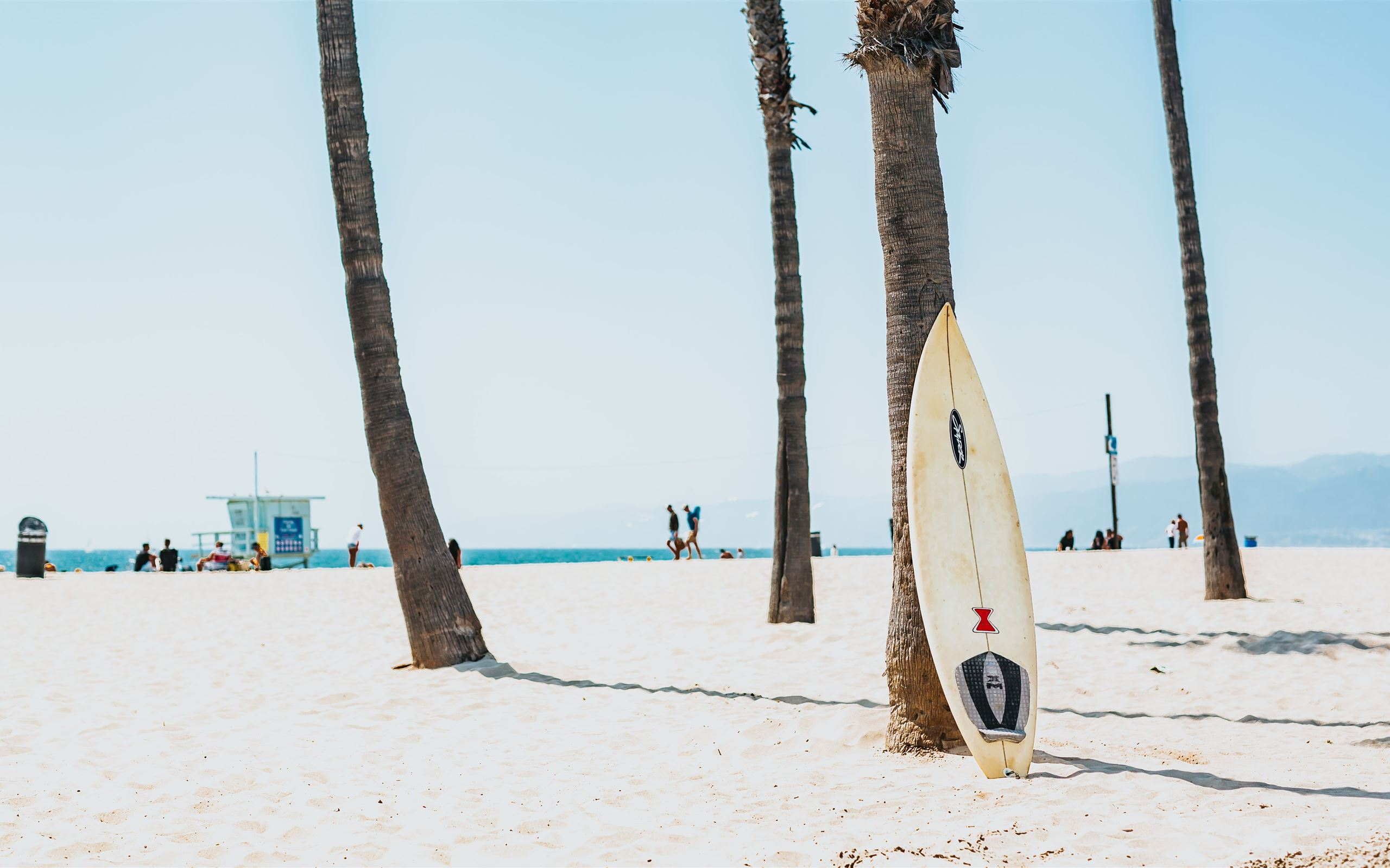 2560x1600 selective focus photography of white surfboard Mac Wallpaper Download |