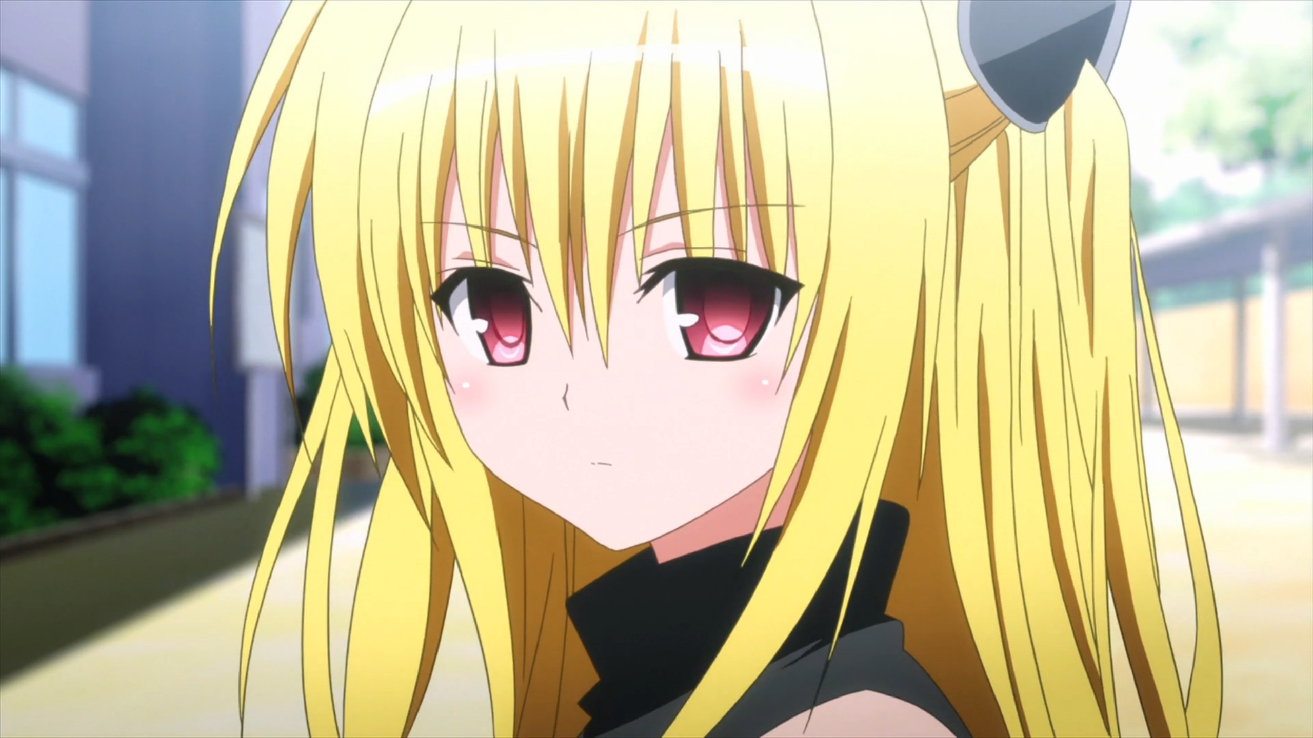 2560x1440 Our Favorite Blonde Anime Characters Sentai Filmworks