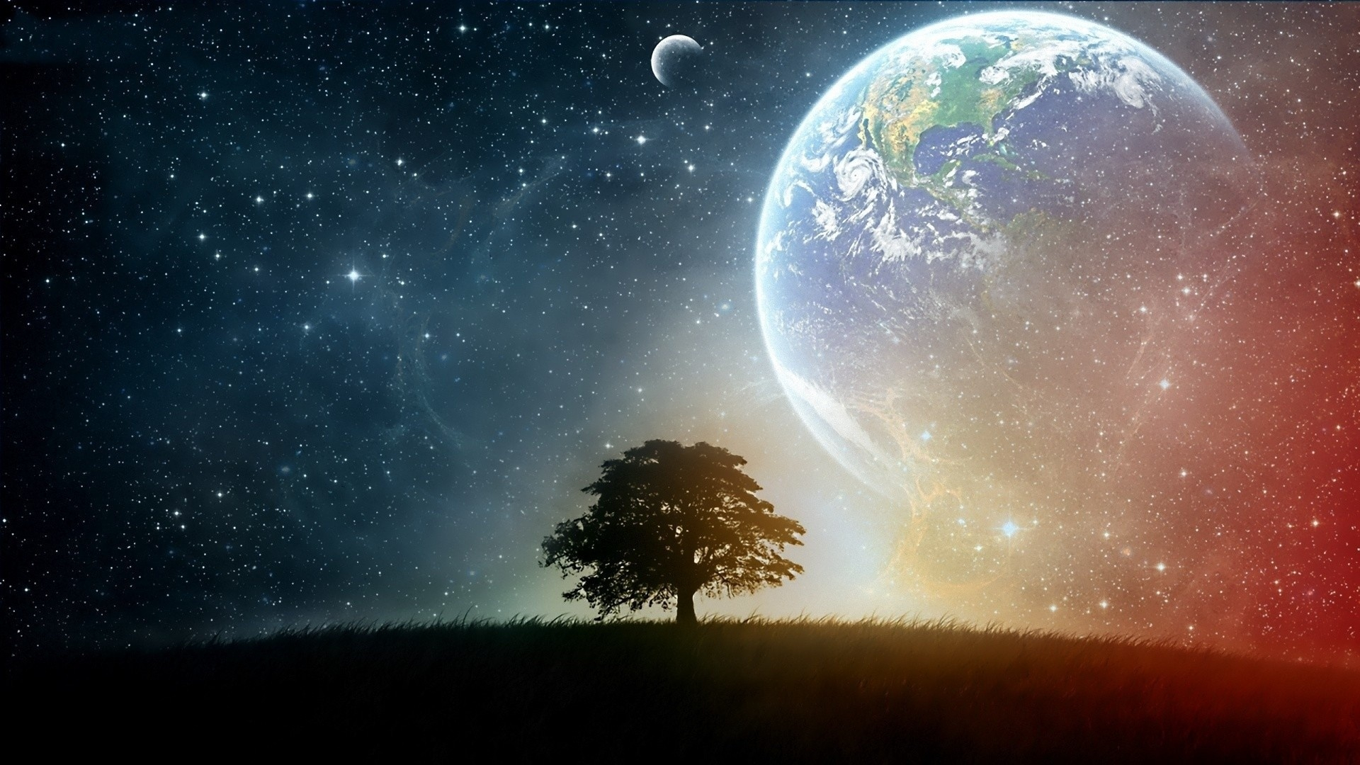 1920x1080 24 Tree and Space Wallpapers Wallpaperboat