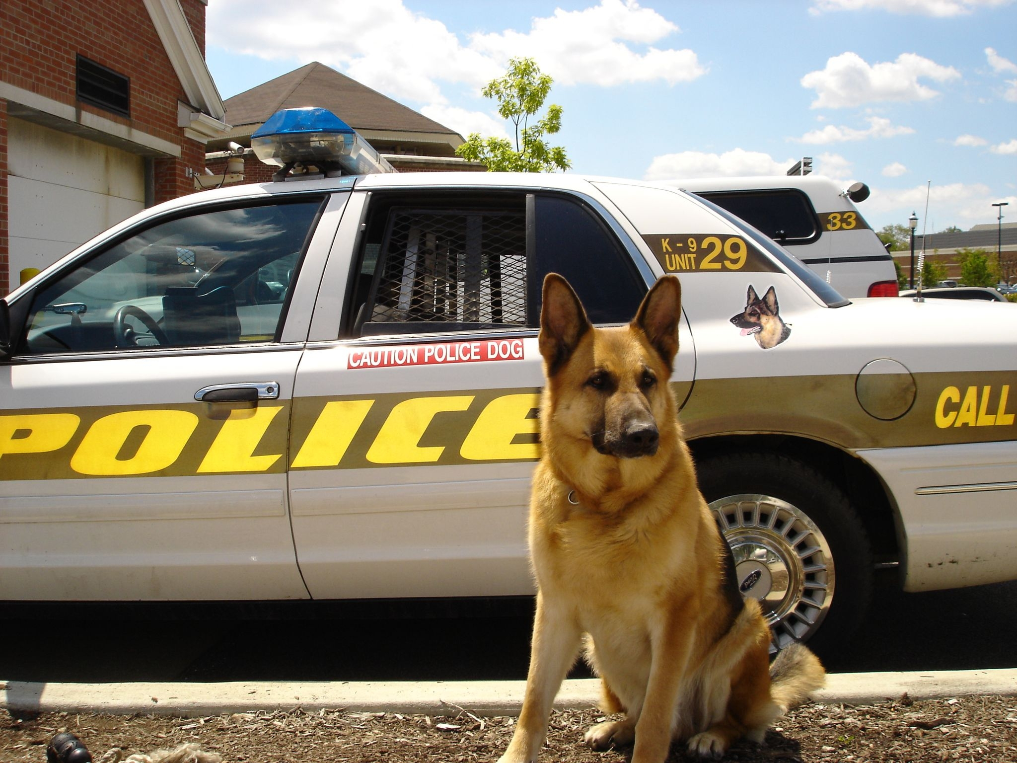 2048x1536 Wallpaper : dog, sheepdog, police, car CoolWallpapers 660255 HD Wallpapers