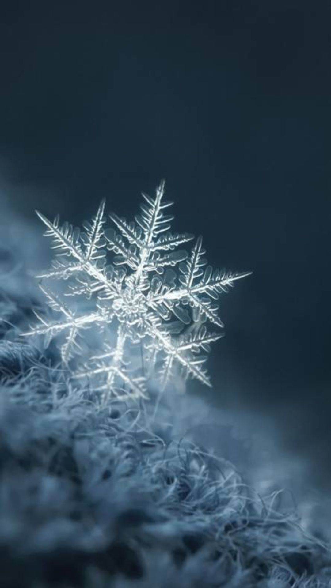1080x1920 Snowflake Wallpapers Top 25 Best Snowflake Backgrounds Download