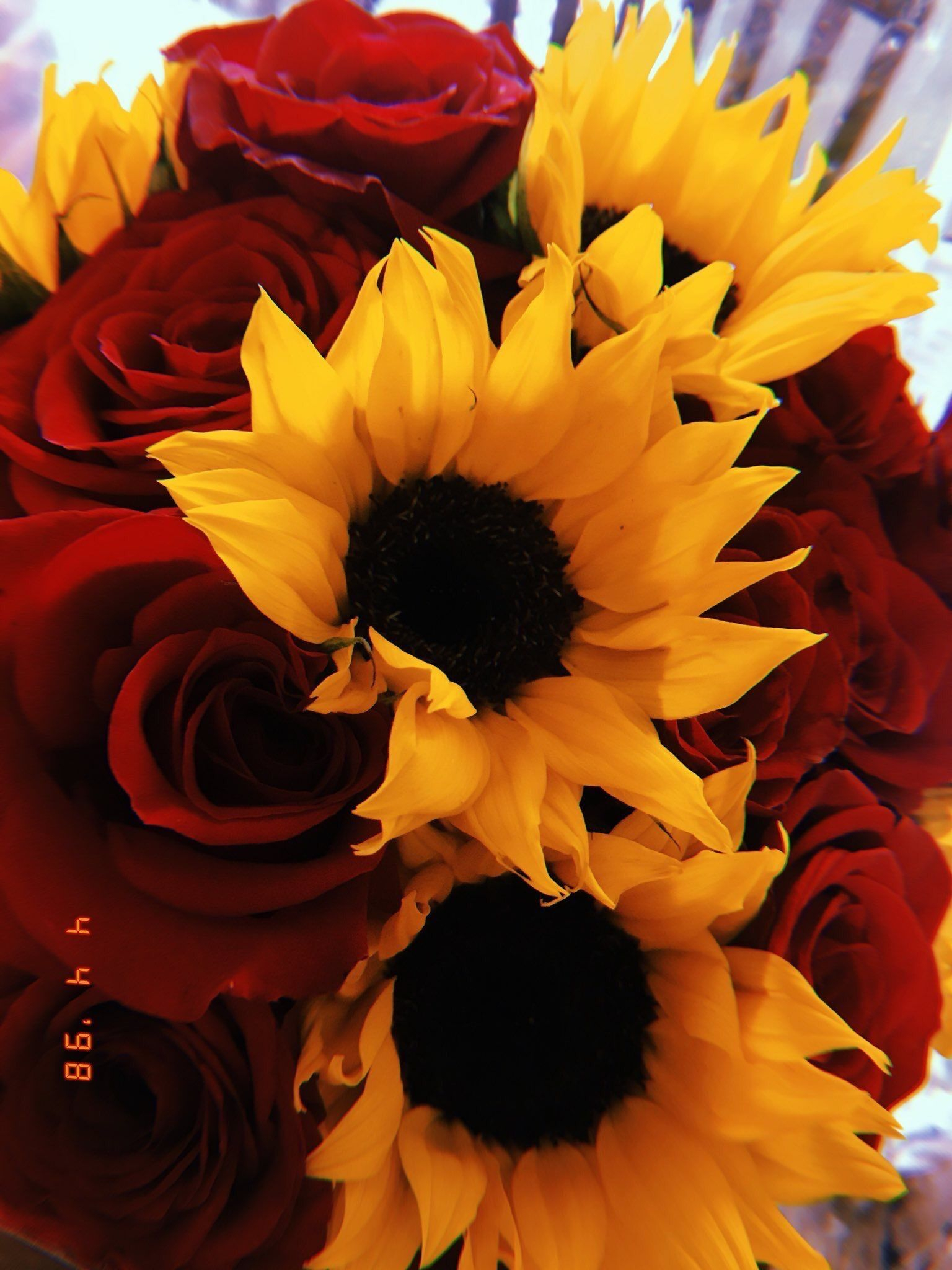 1536x2048 Sunflowers Wallpaper