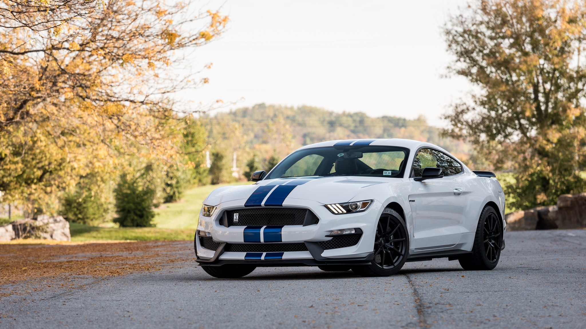 2048x1152 Wallpaper : car, nature, depth of field, Ford Mustang Shelby, Shelby GT350 lagito37 1278585 HD Wallpapers