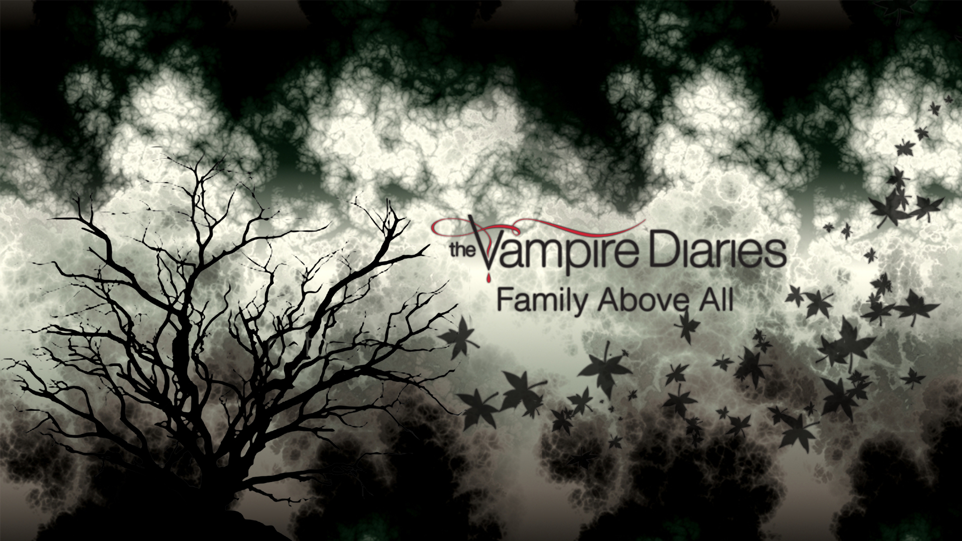 1920x1080 The Vampire Diaries Wallpaper Series The Vampire Diaries Wallpaper (34080149) Fanpop
