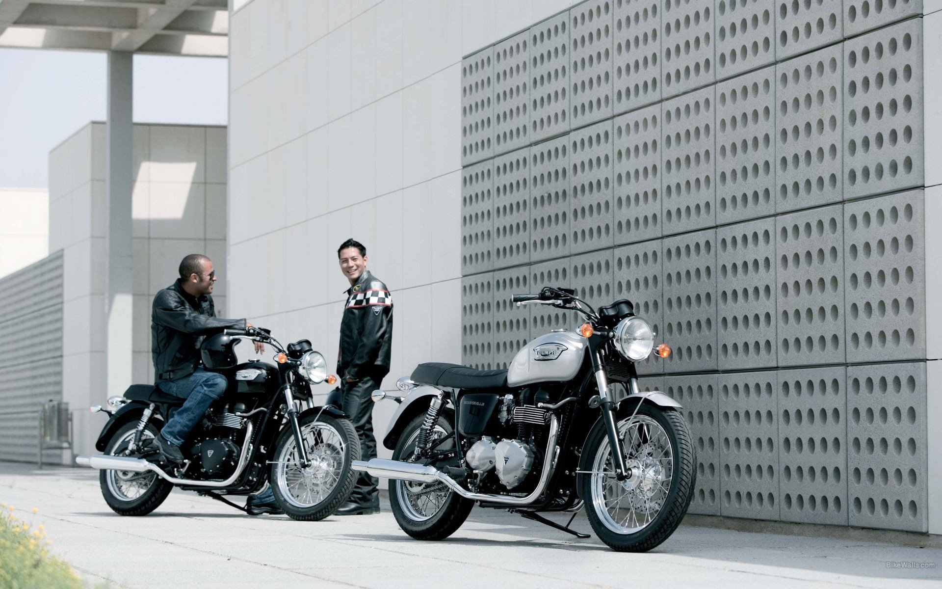 1920x1200 Leather jacket motorbikes Triumph Bonneville Triumph Motorcycles wallpaper | | 335000