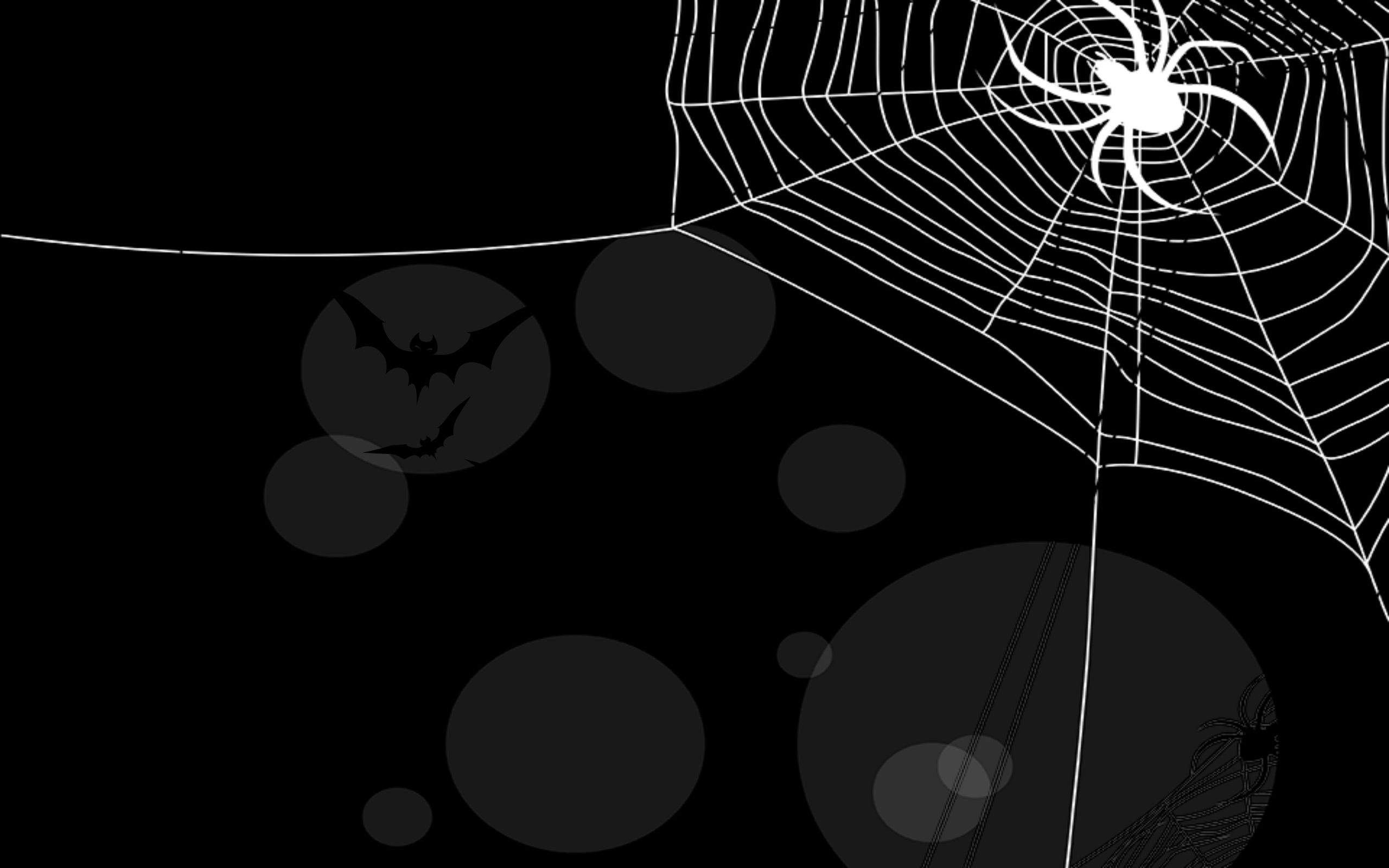 2560x1600 Halloween Spider Phone Wallpapers Top Free Halloween Spider Phone Backgrounds