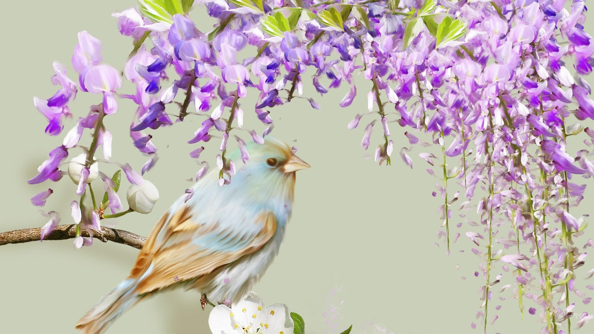 1920x1080 HD Spring Wisteria Flowers Wallpaper | Wallpaper, Wisteria, Purple wisteria