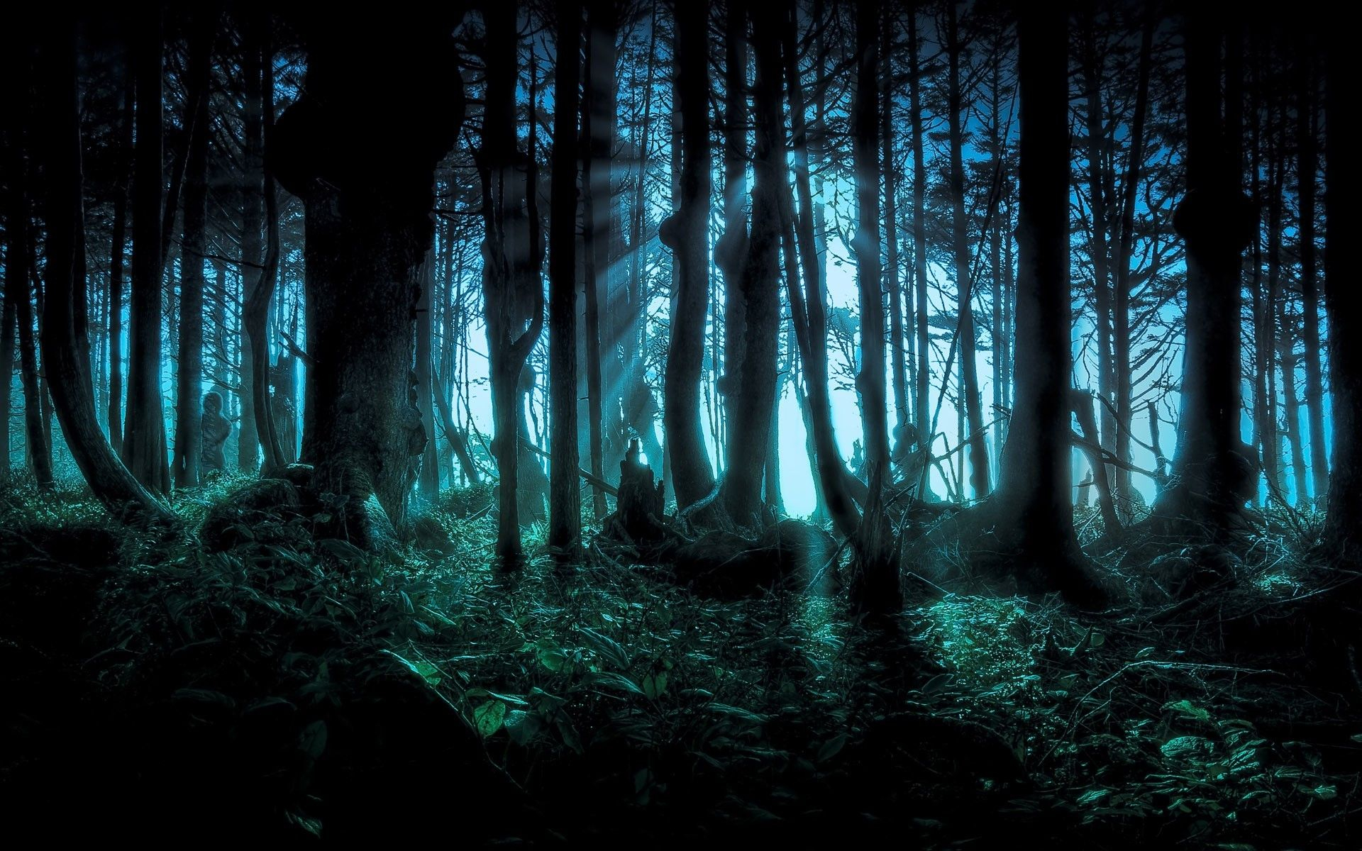 1920x1200 Haunted Forest Wallpapers Top Free Haunted Forest Backgrounds