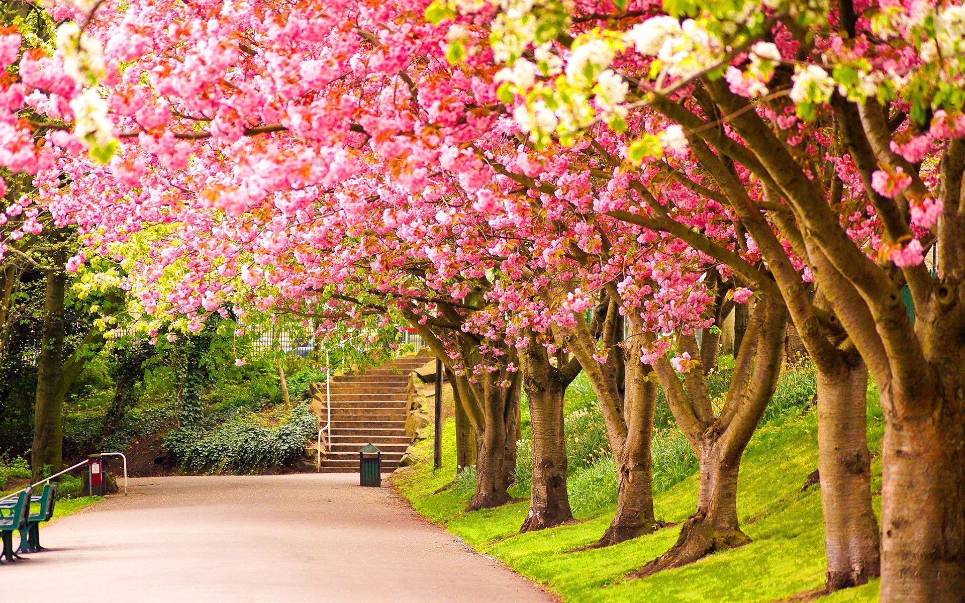 1920x1200 Scenic Spring Wallpapers